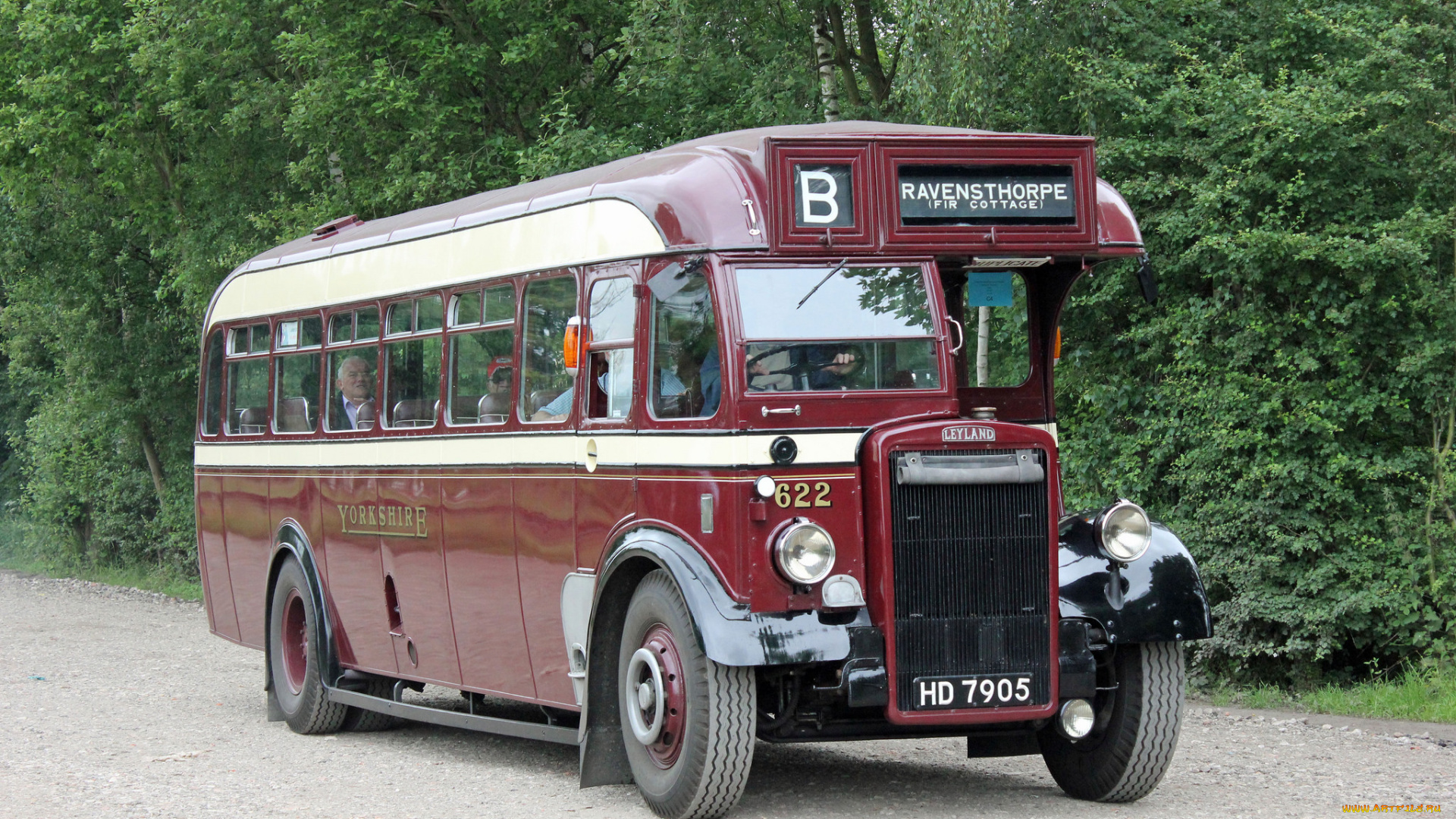 автомобили, автобусы, транспорт, пассажирский