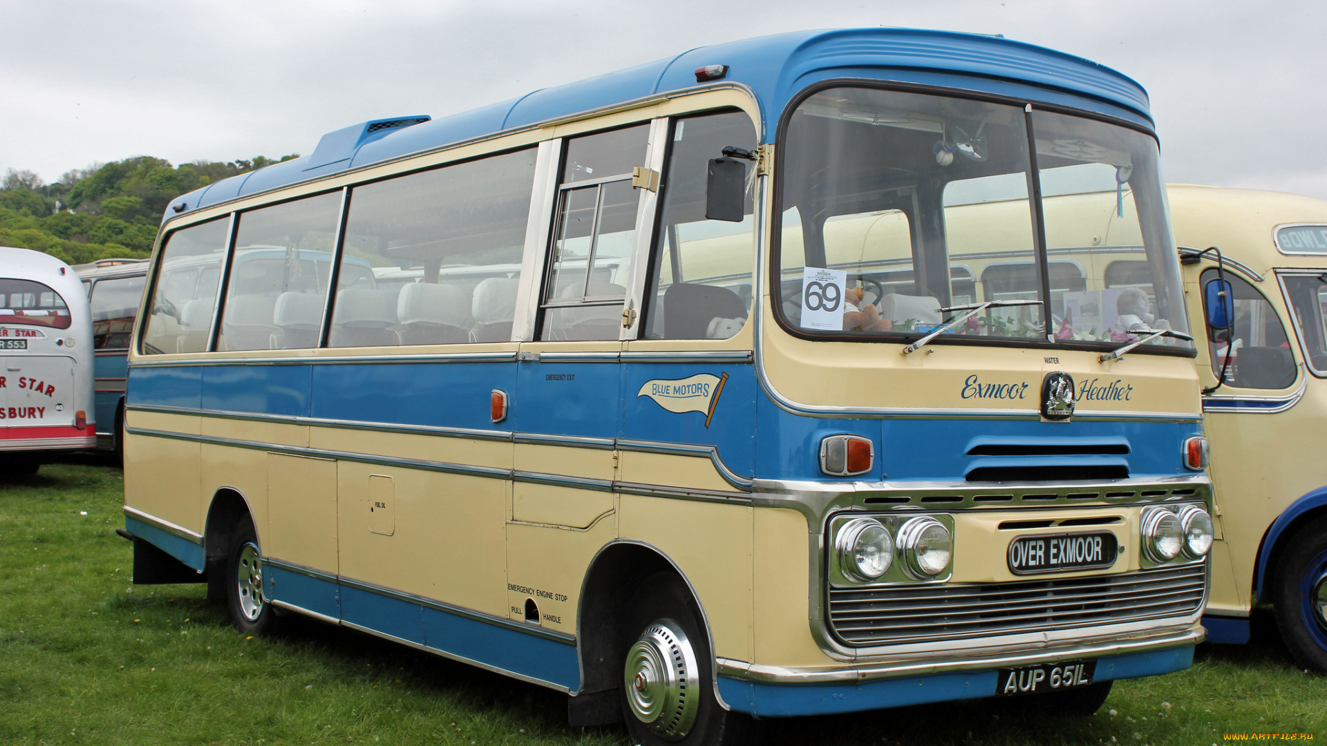 автомобили, автобусы, транспорт, пассажирский