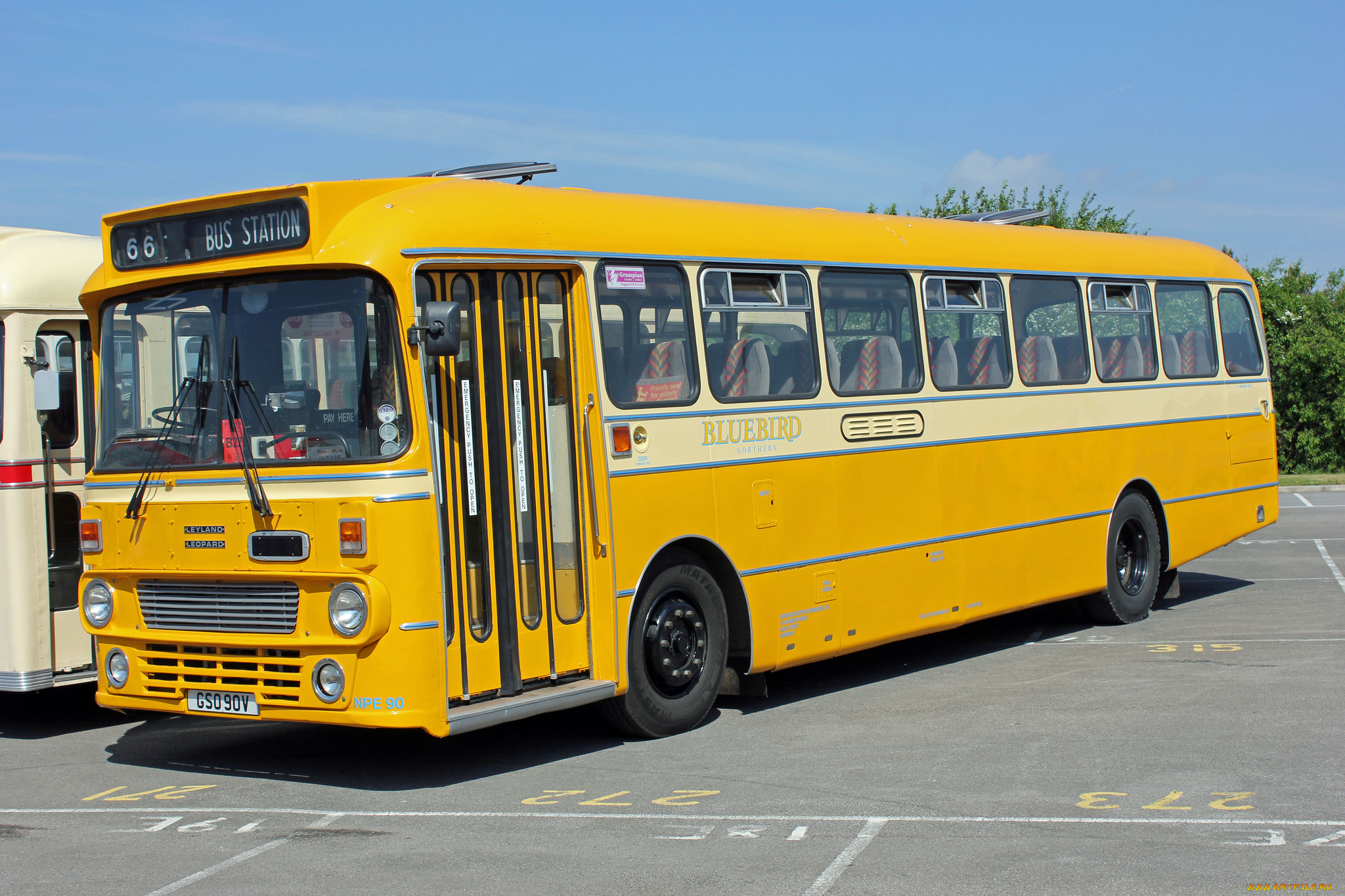 автомобили, автобусы, пассажирский, транспорт