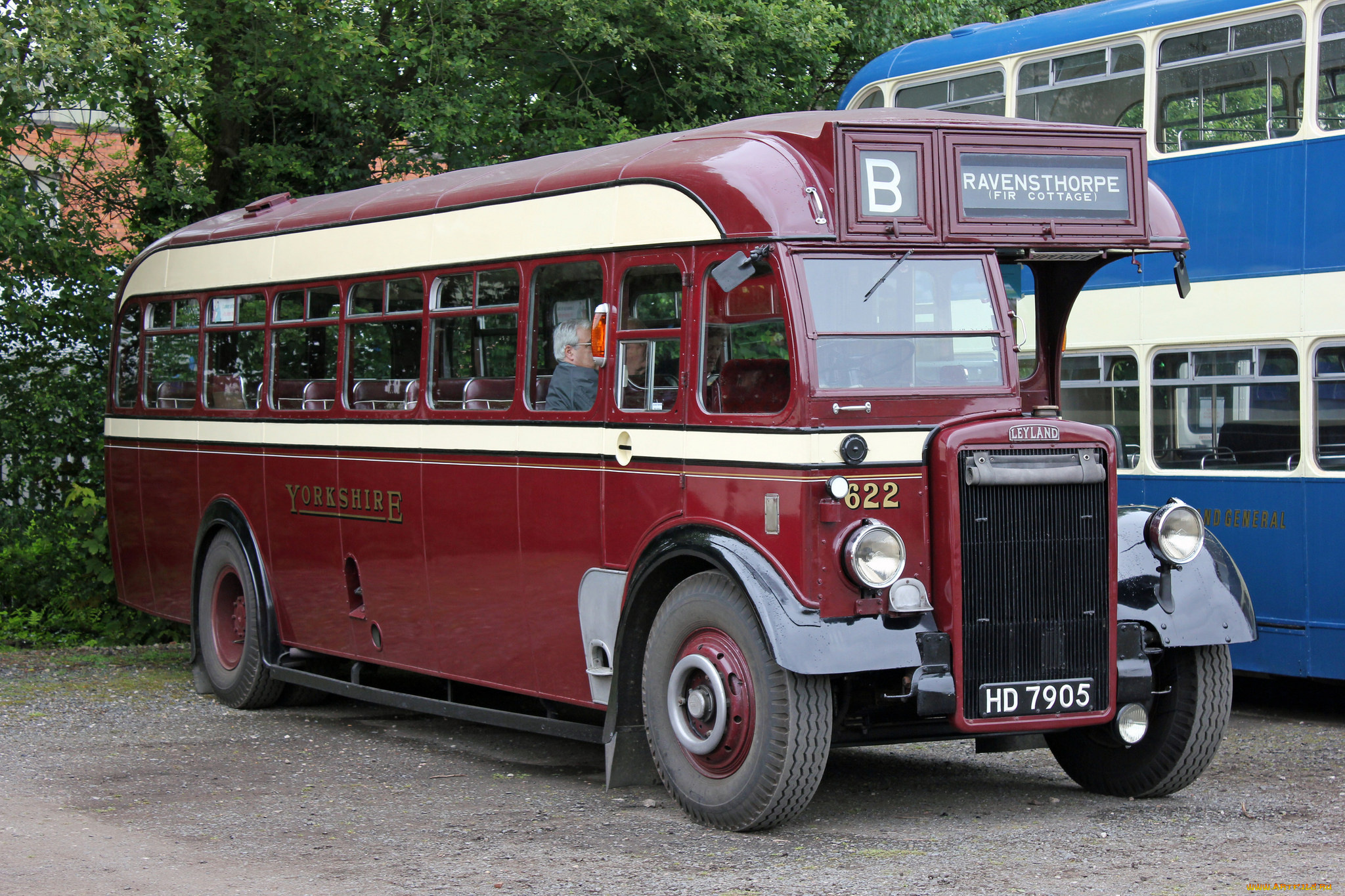 автомобили, автобусы, транспорт, пассажирский