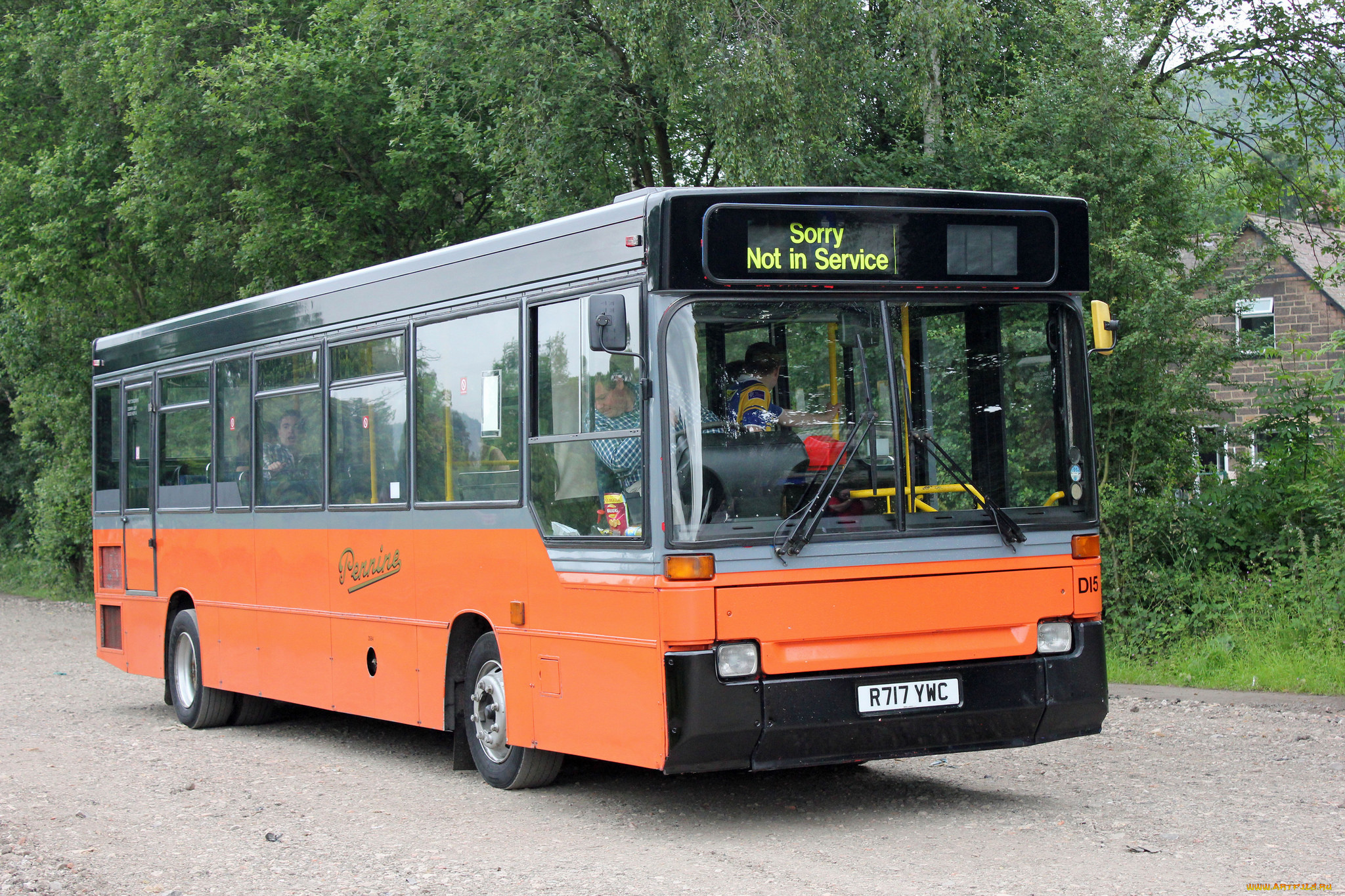 автомобили, автобусы, транспорт, пассажирский