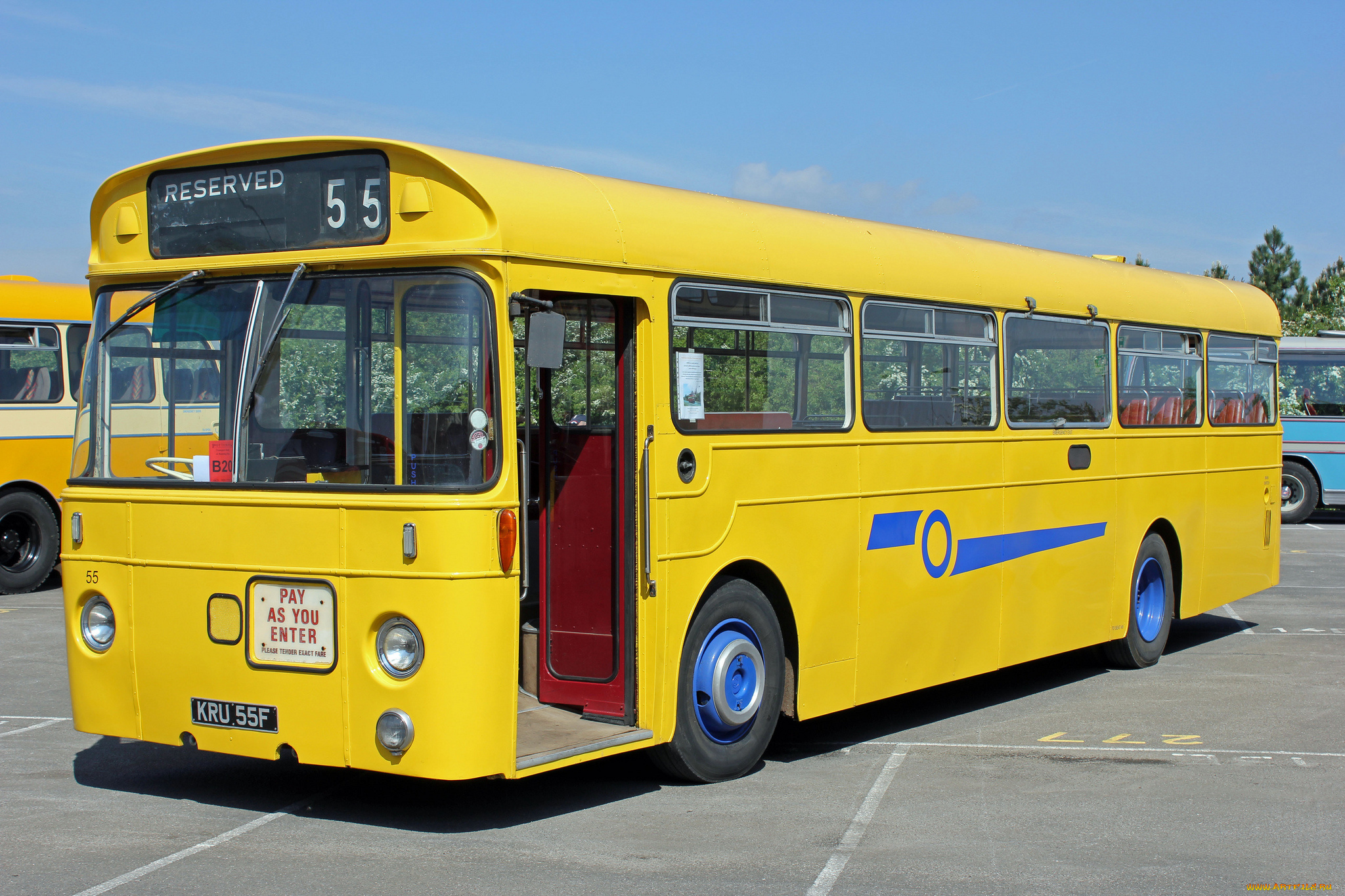 автомобили, автобусы, транспорт, пассажирский