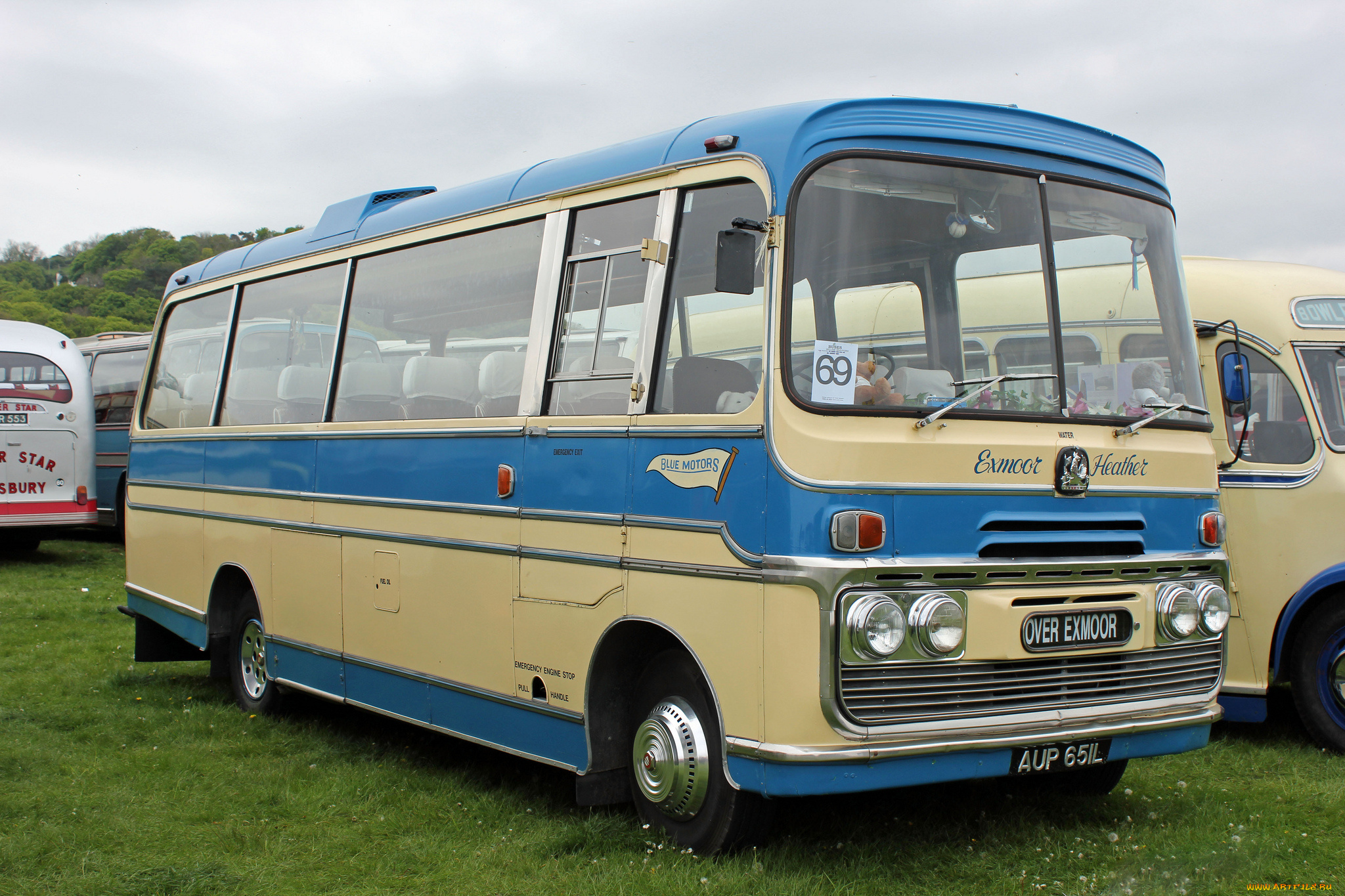 автомобили, автобусы, транспорт, пассажирский