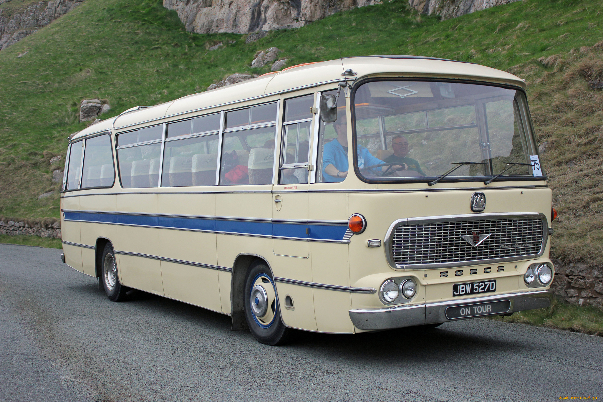 автомобили, автобусы, транспорт, пассажирский