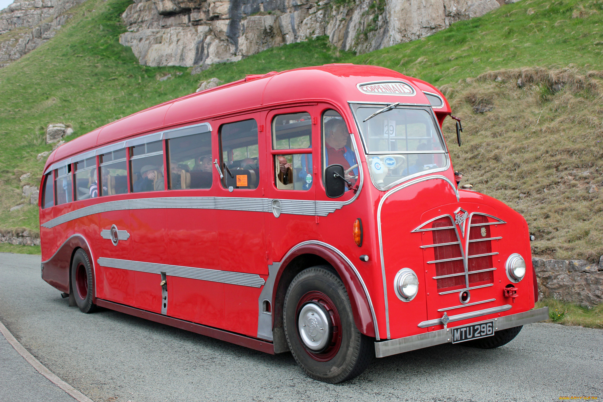 автомобили, автобусы, транспорт, пассажирский