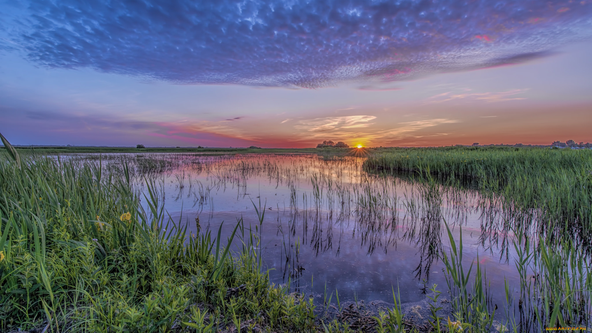 природа, реки, озера, лес, река