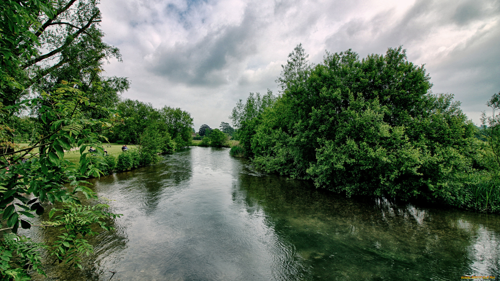 природа, реки, озера, лес, река