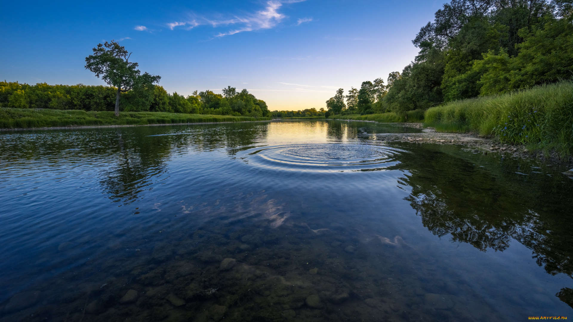 природа, реки, озера, река, лес