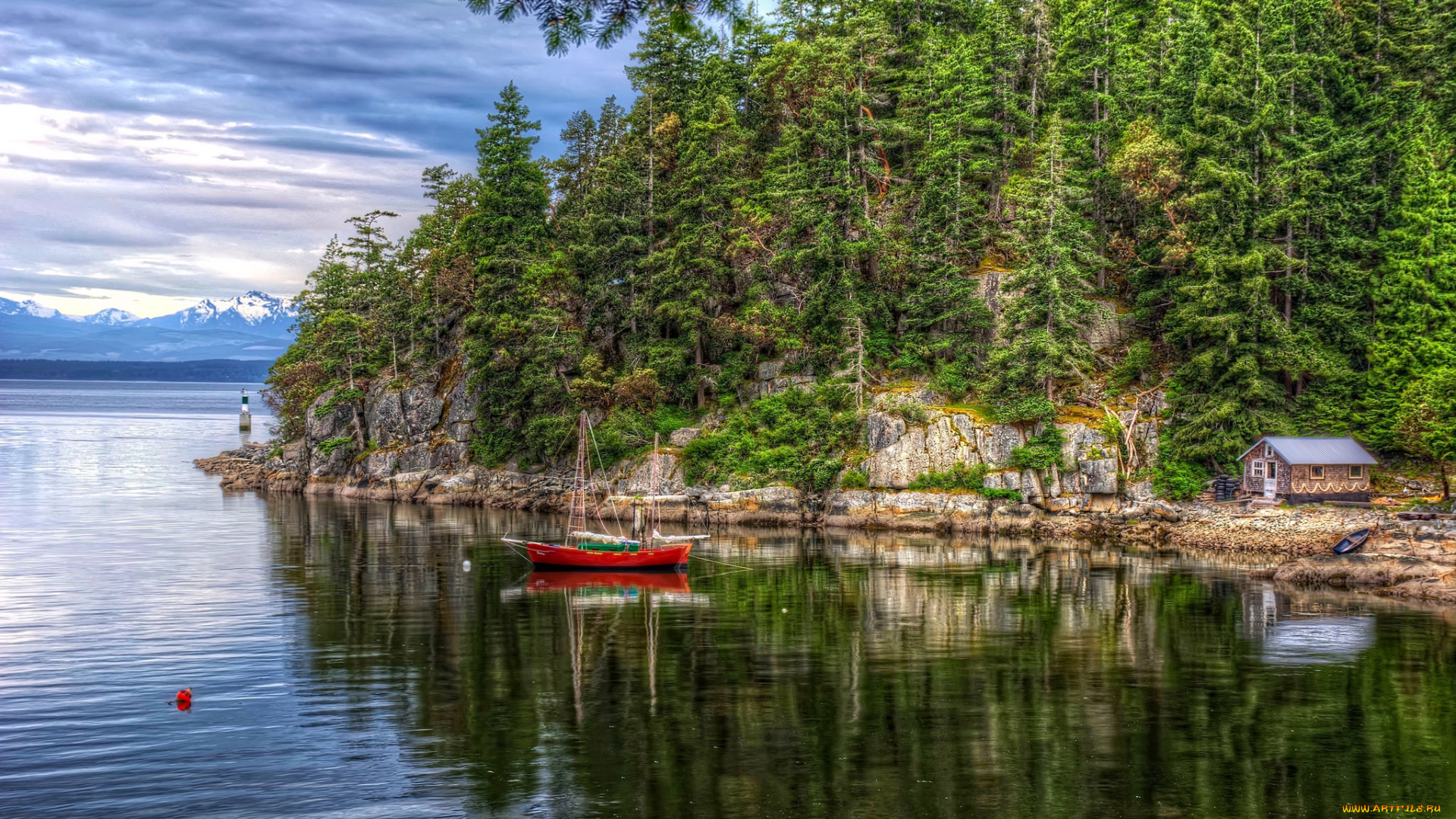 природа, реки, озера, река, лес