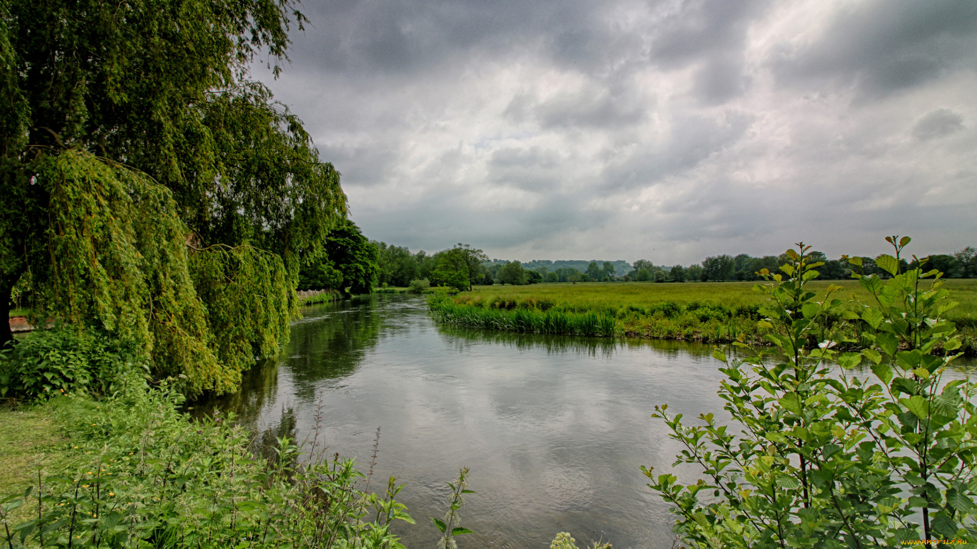 природа, реки, озера, река, лес