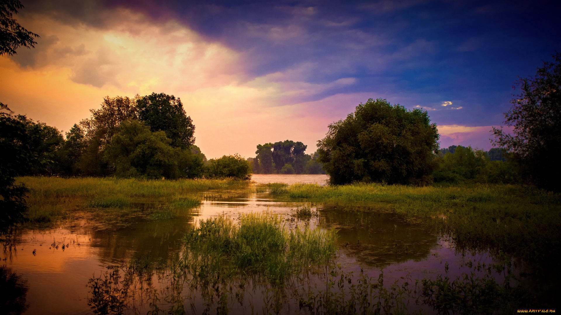 природа, реки, озера, река, лес