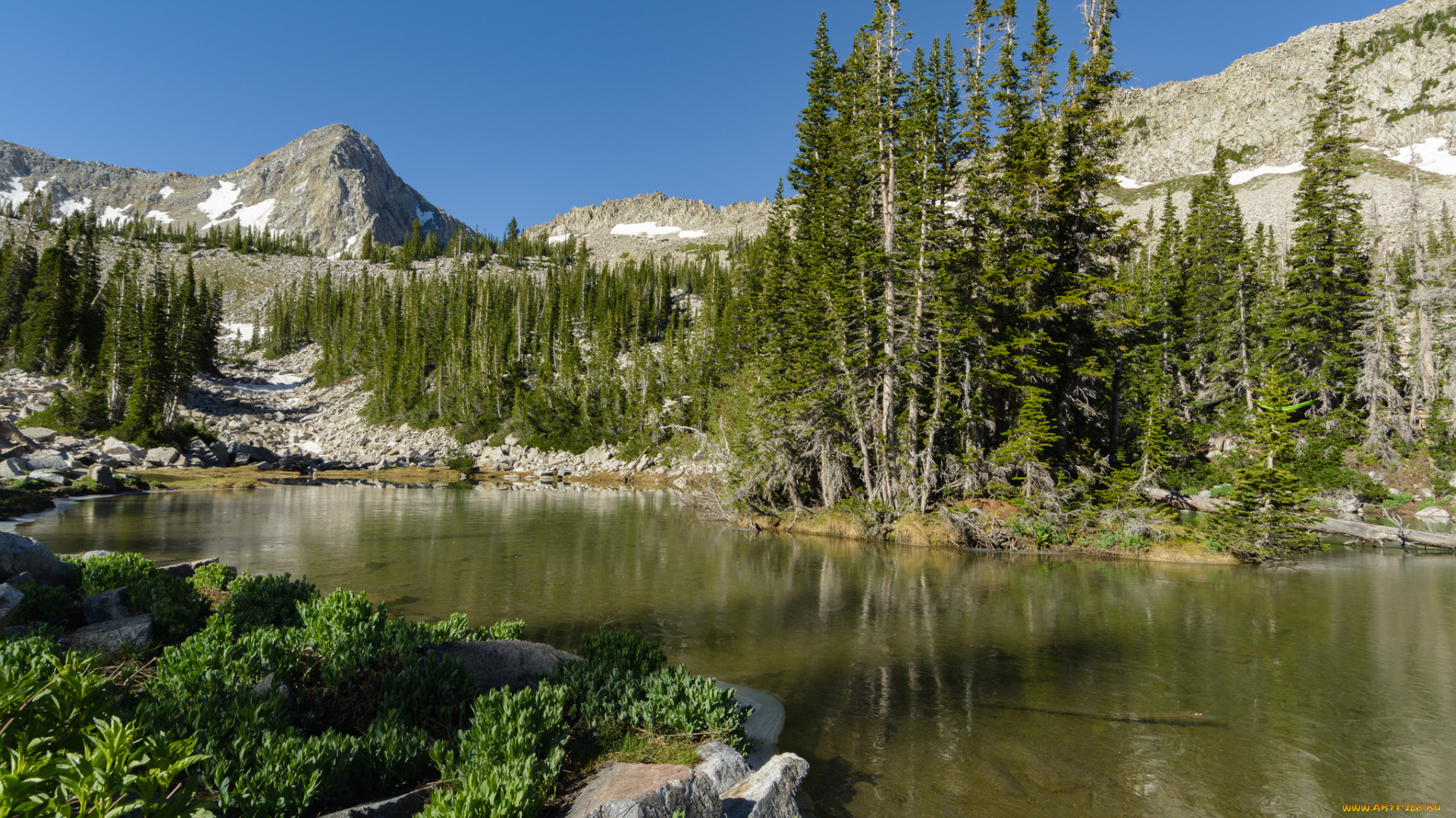 природа, реки, озера, река, лес