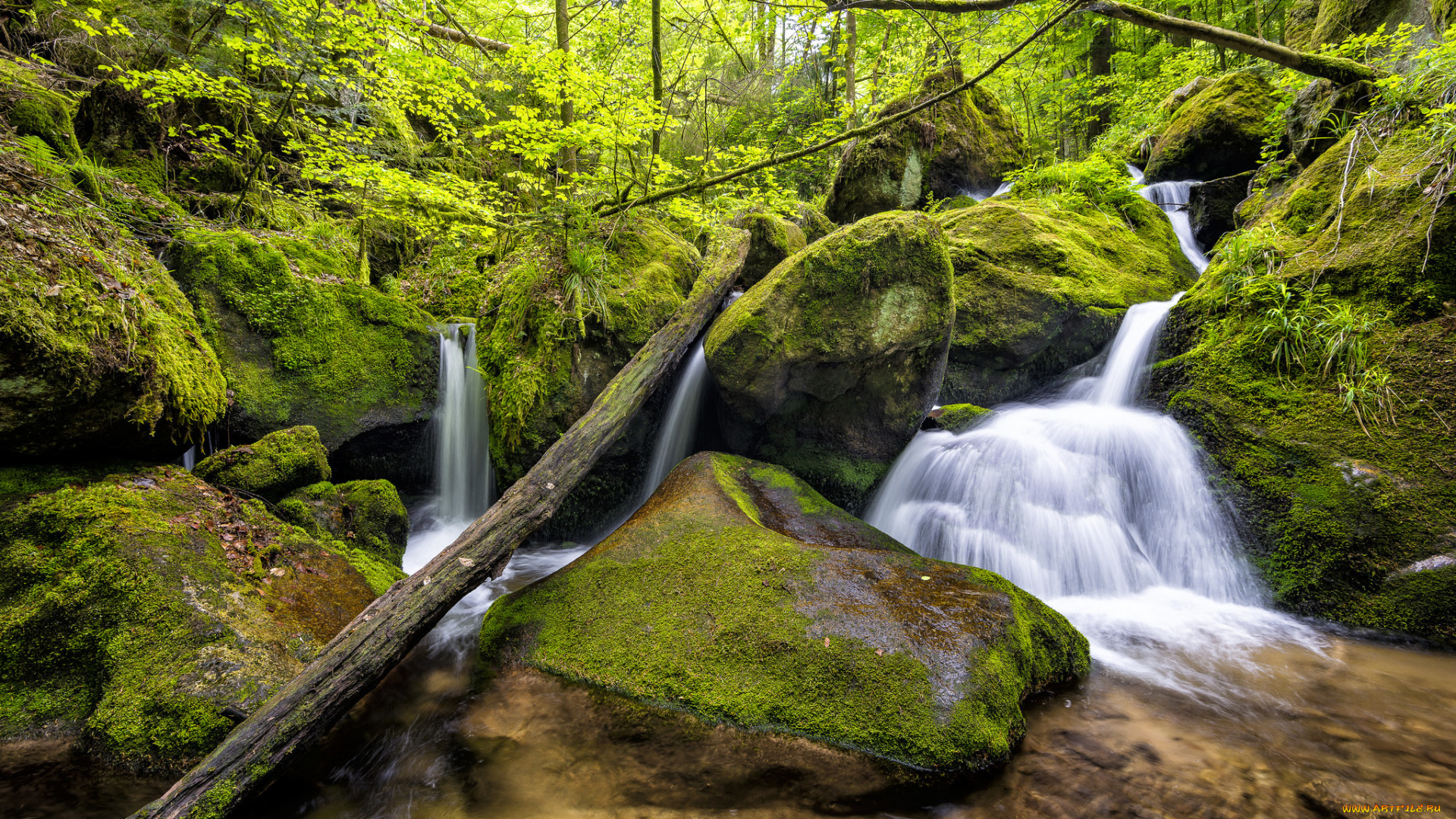 природа, водопады, мох, поток, лес, камни