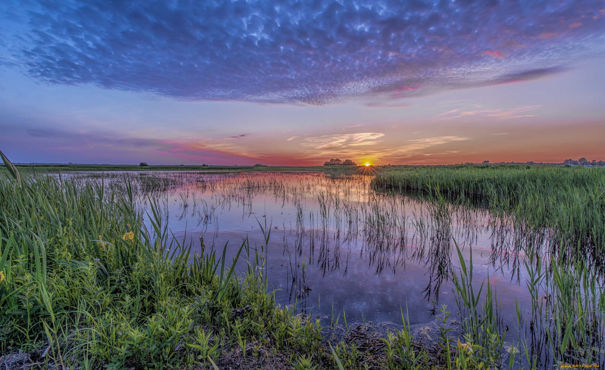 природа, реки, озера, лес, река