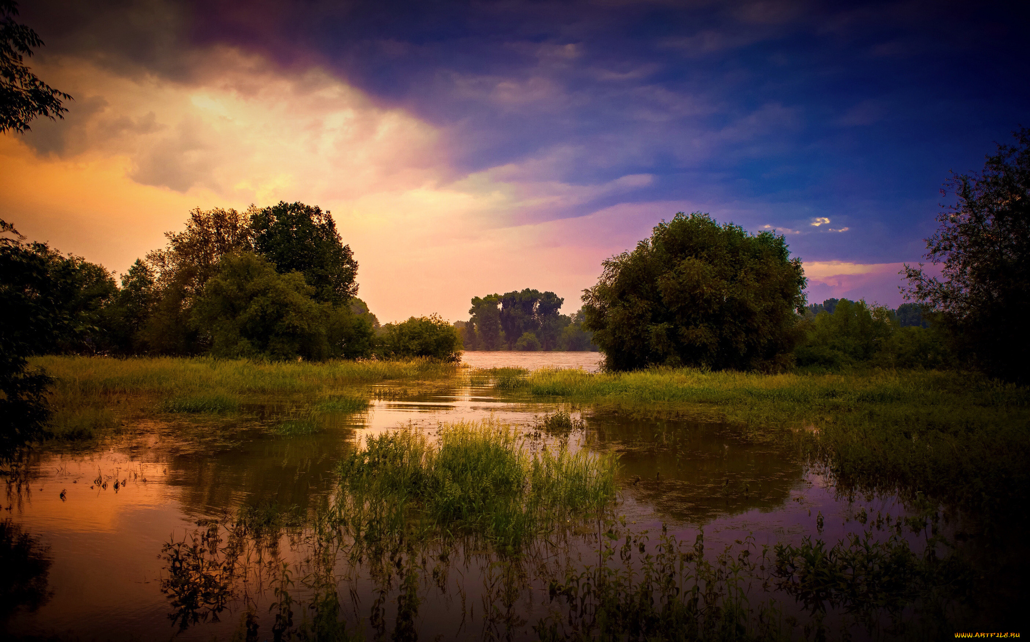 природа, реки, озера, река, лес