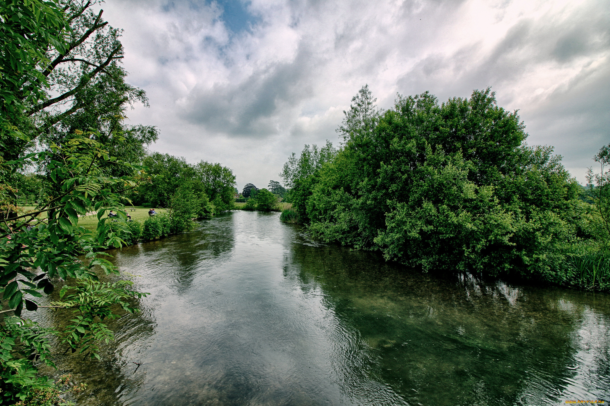 природа, реки, озера, лес, река