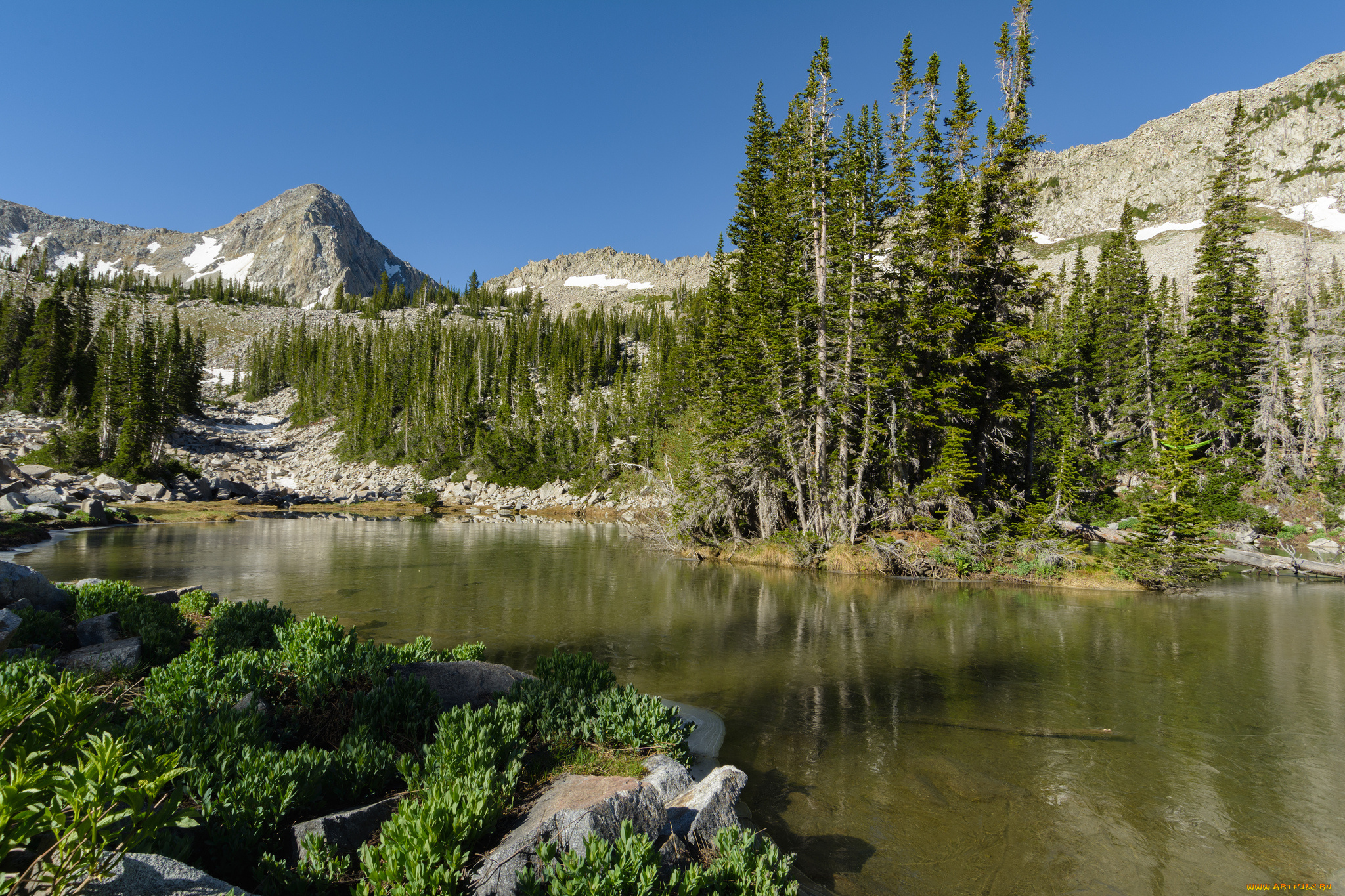 природа, реки, озера, река, лес