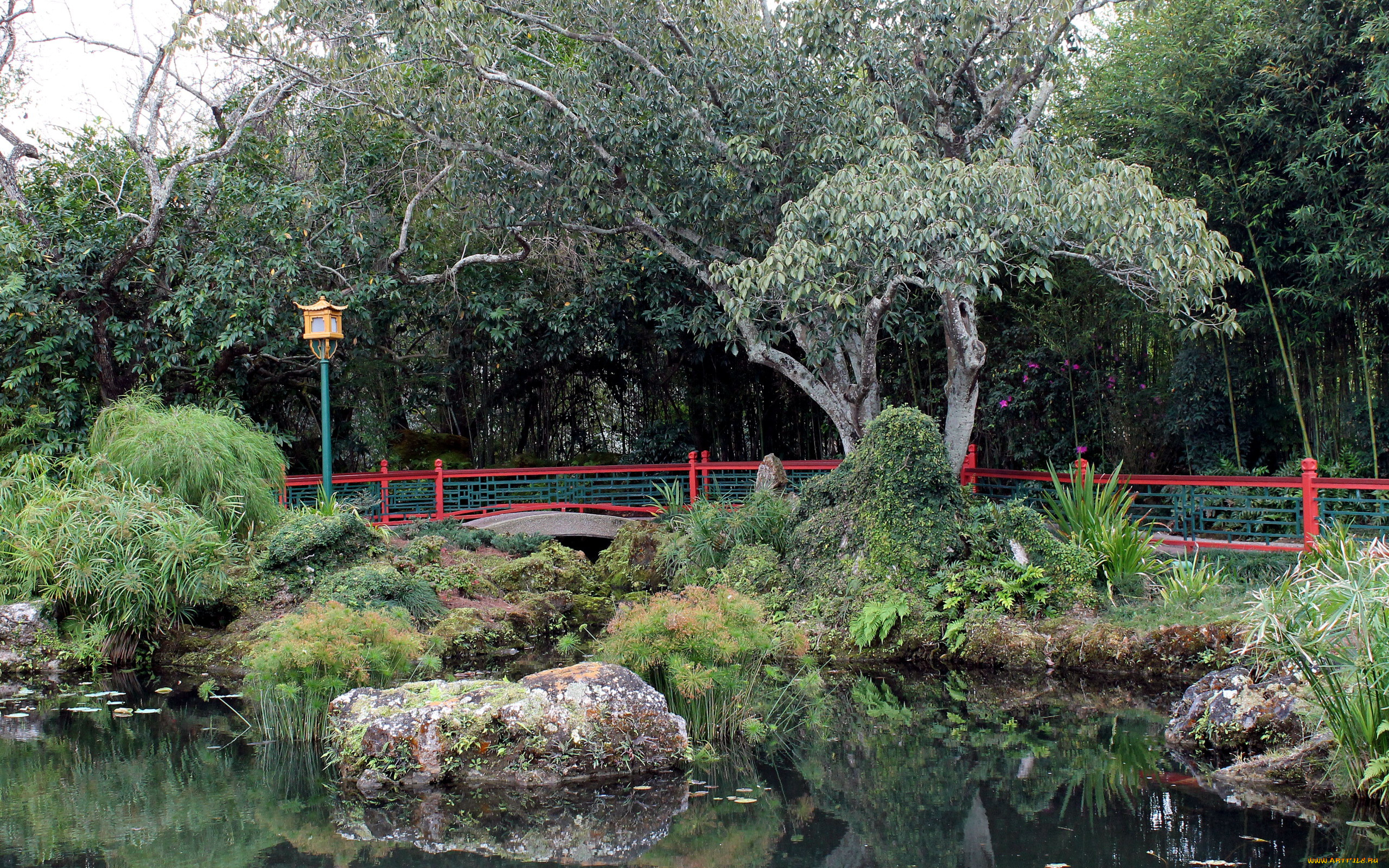 природа, парк, водоем, мостик