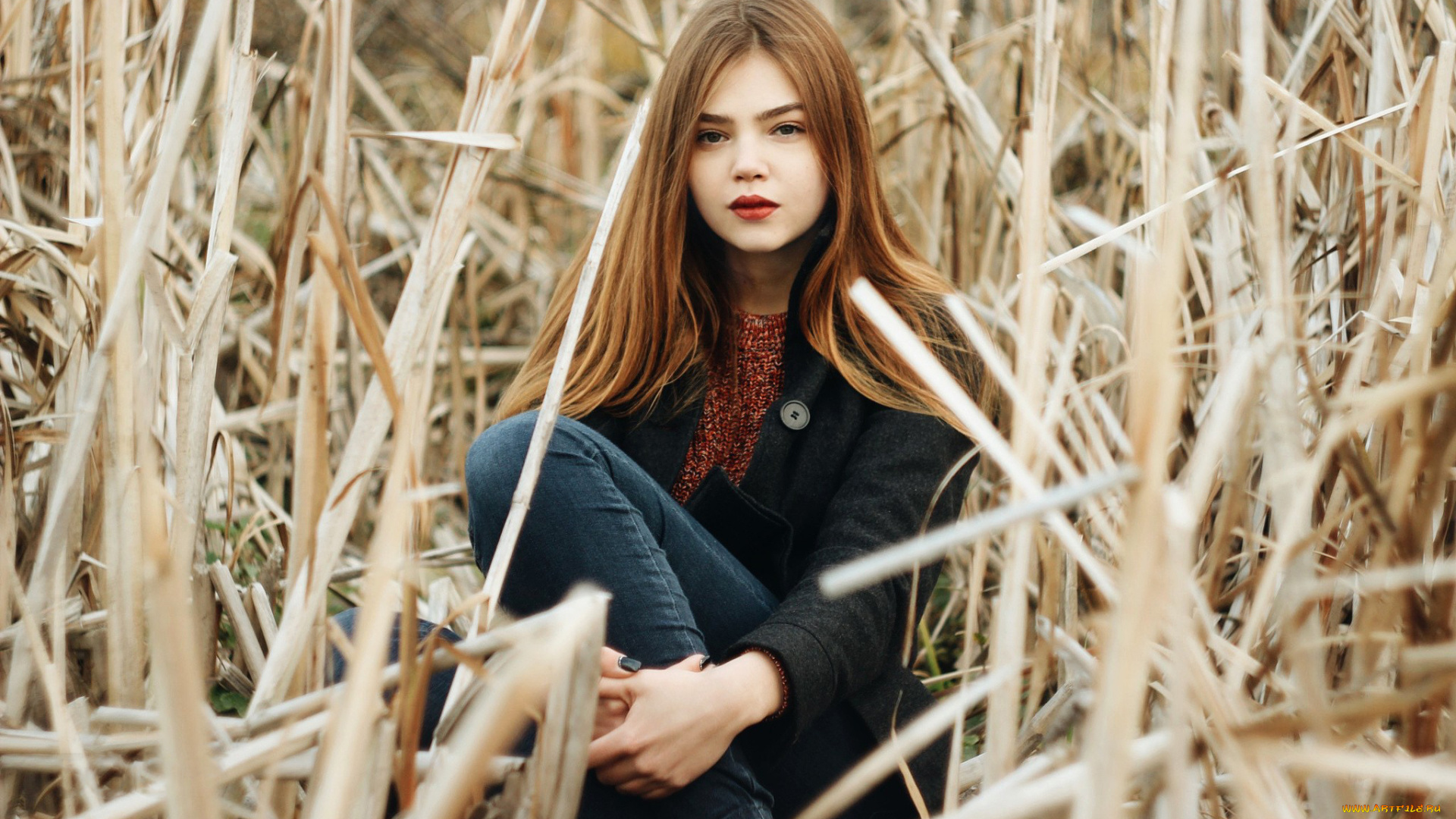 девушка, девушки, -unsort, , рыжеволосые, и, другие, модель