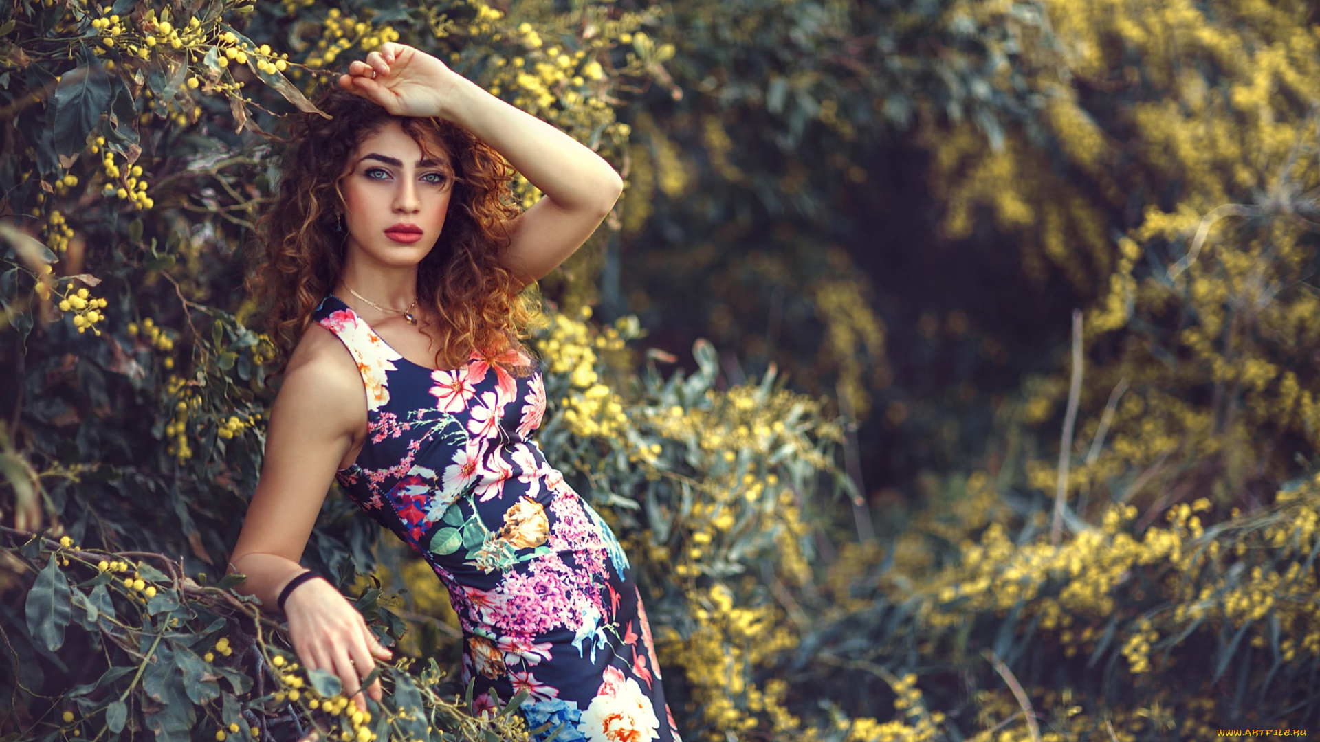 девушка, девушки, -unsort, , рыжеволосые, и, другие, модель