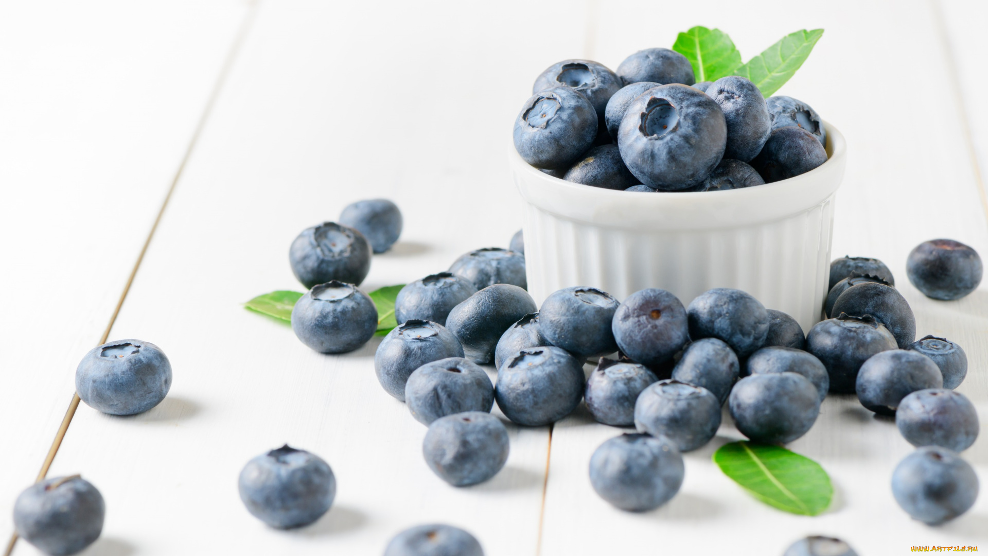 еда, голубика, , черника, черника, ягоды, wood, berries, fresh, blueberry