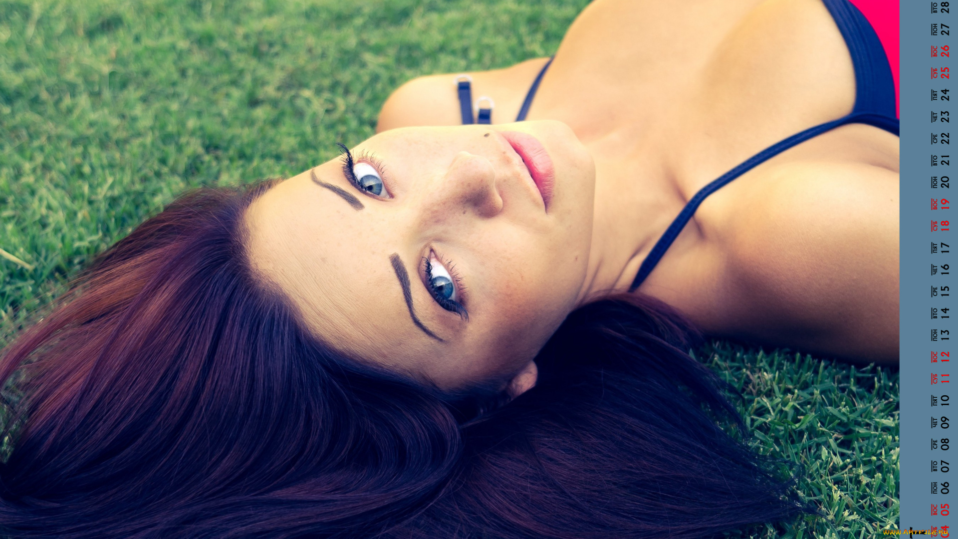 календари, девушки, взгляд, лицо, трава