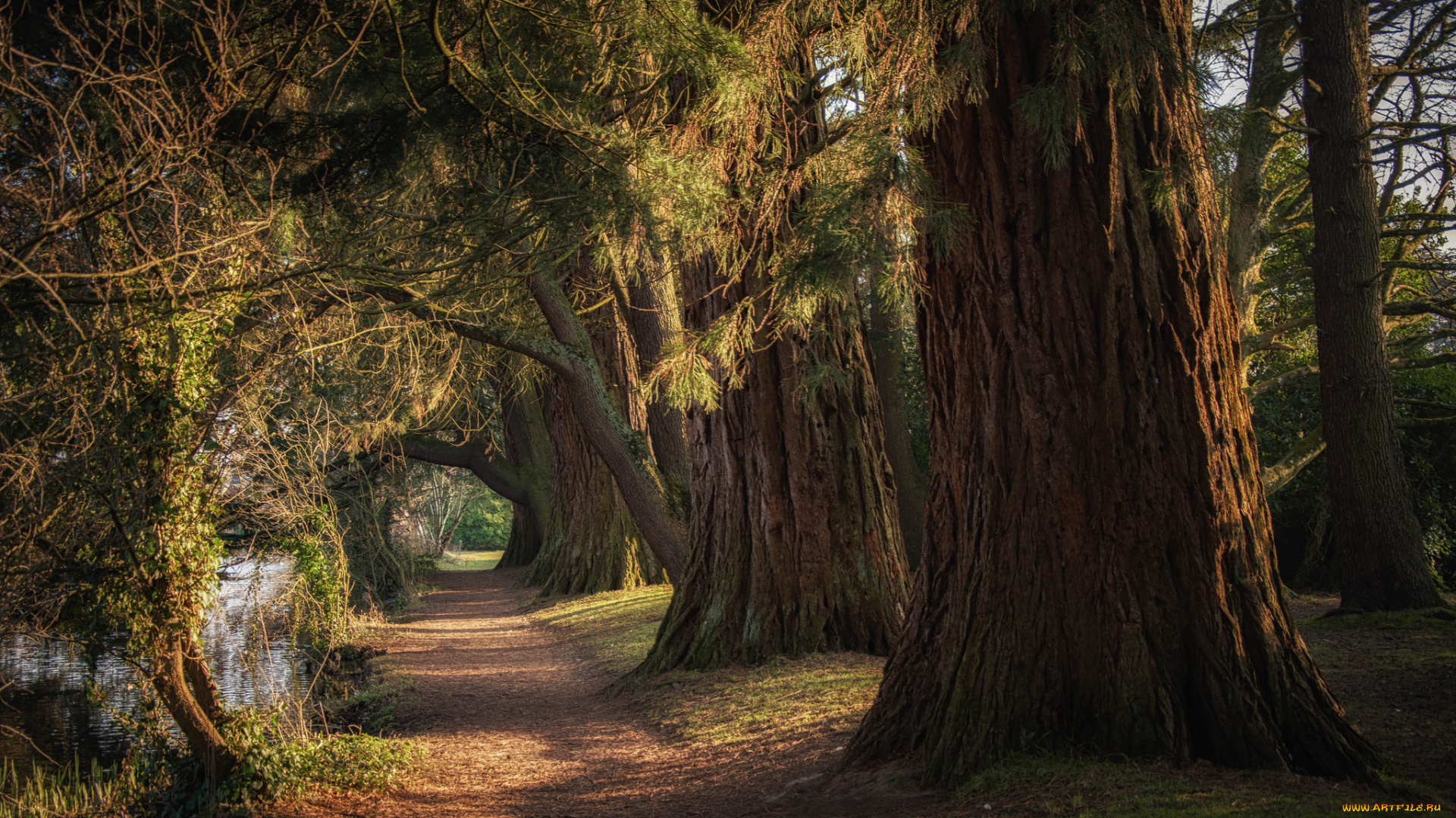 природа, дороги, простор