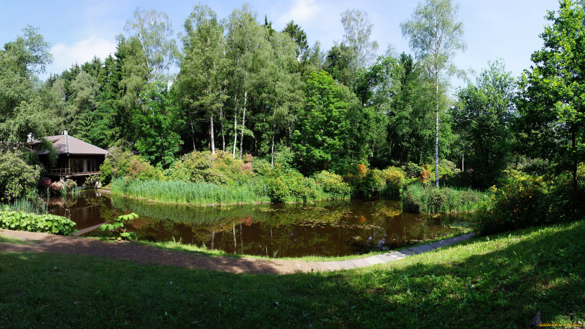 природа, парк, пруд