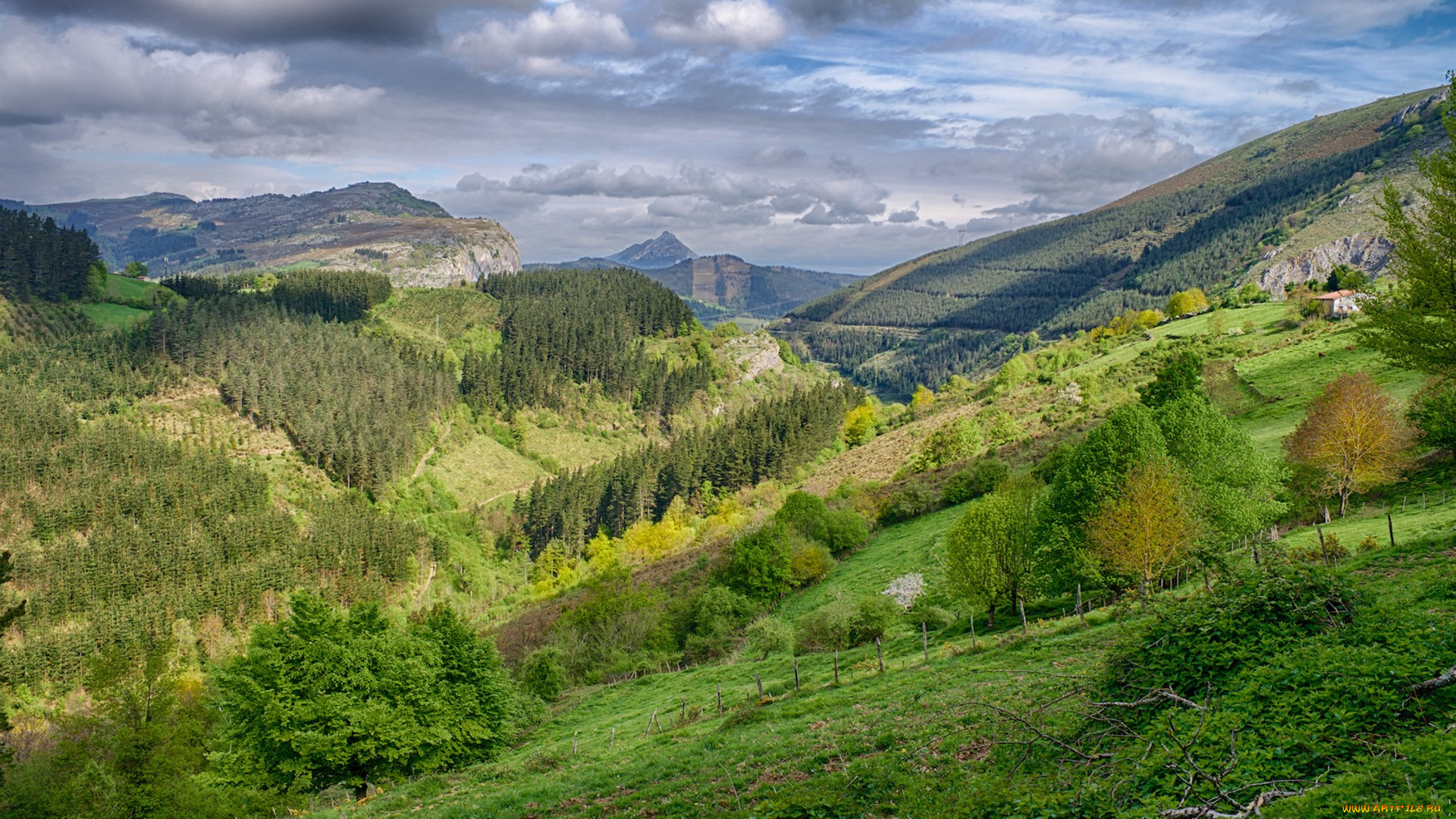 природа, пейзажи, простор