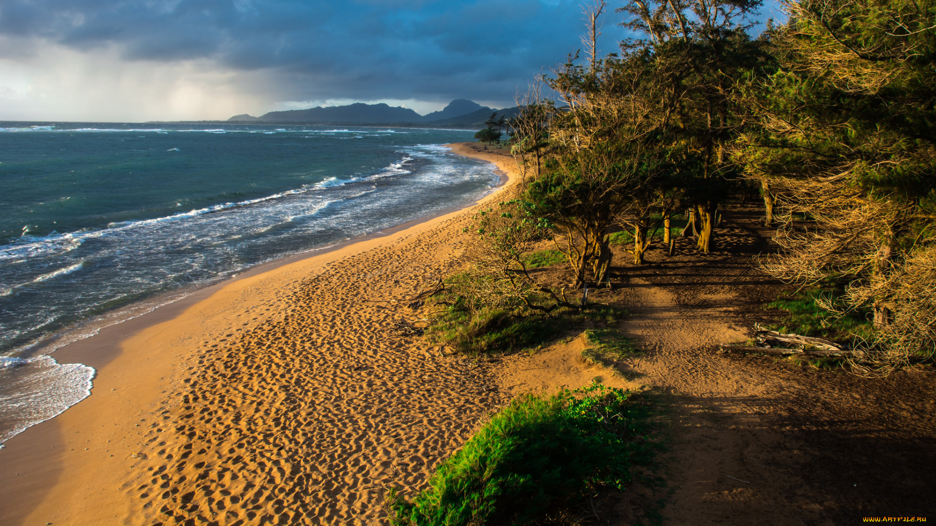 природа, побережье, простор