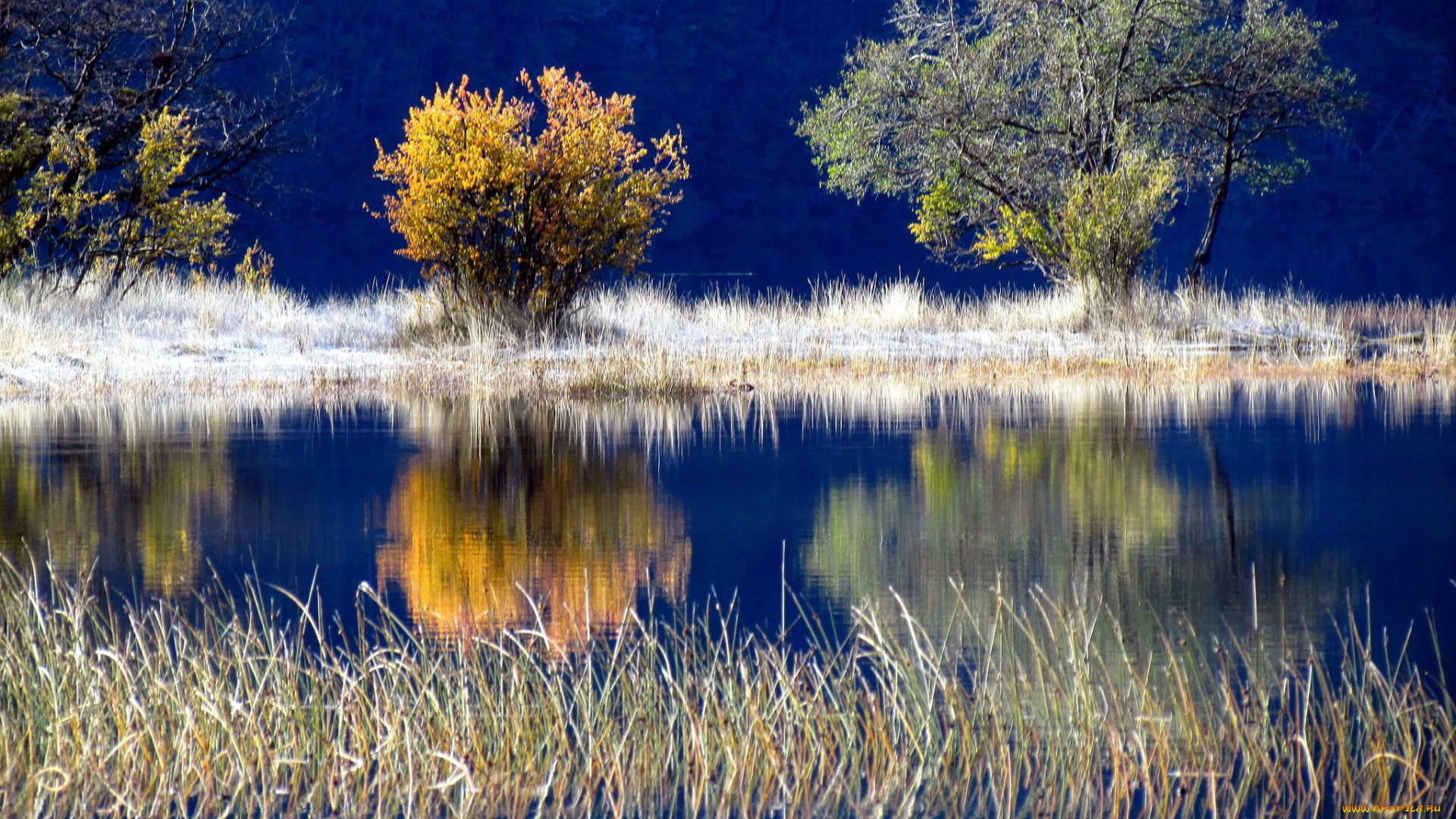 природа, реки, озера, отражение, река