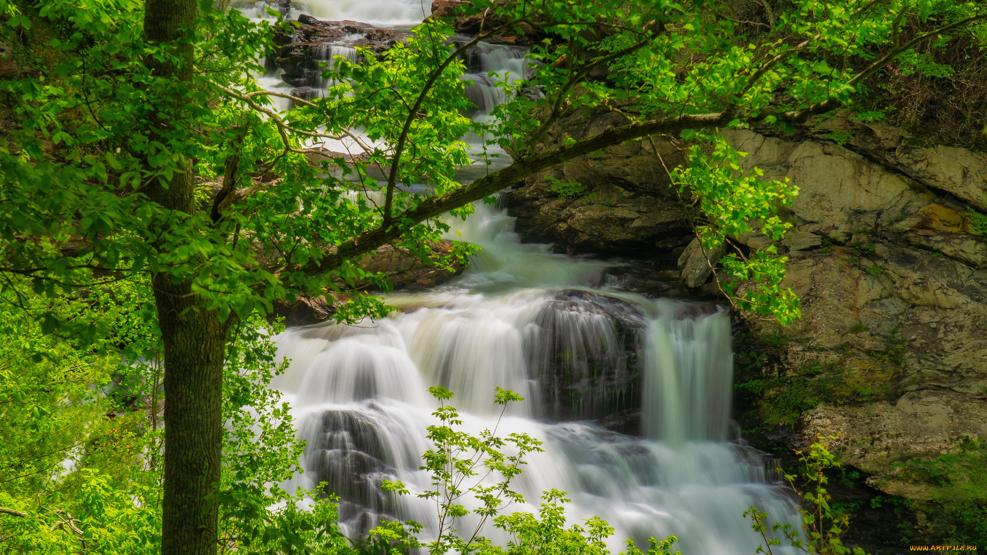 природа, реки, озера, простор