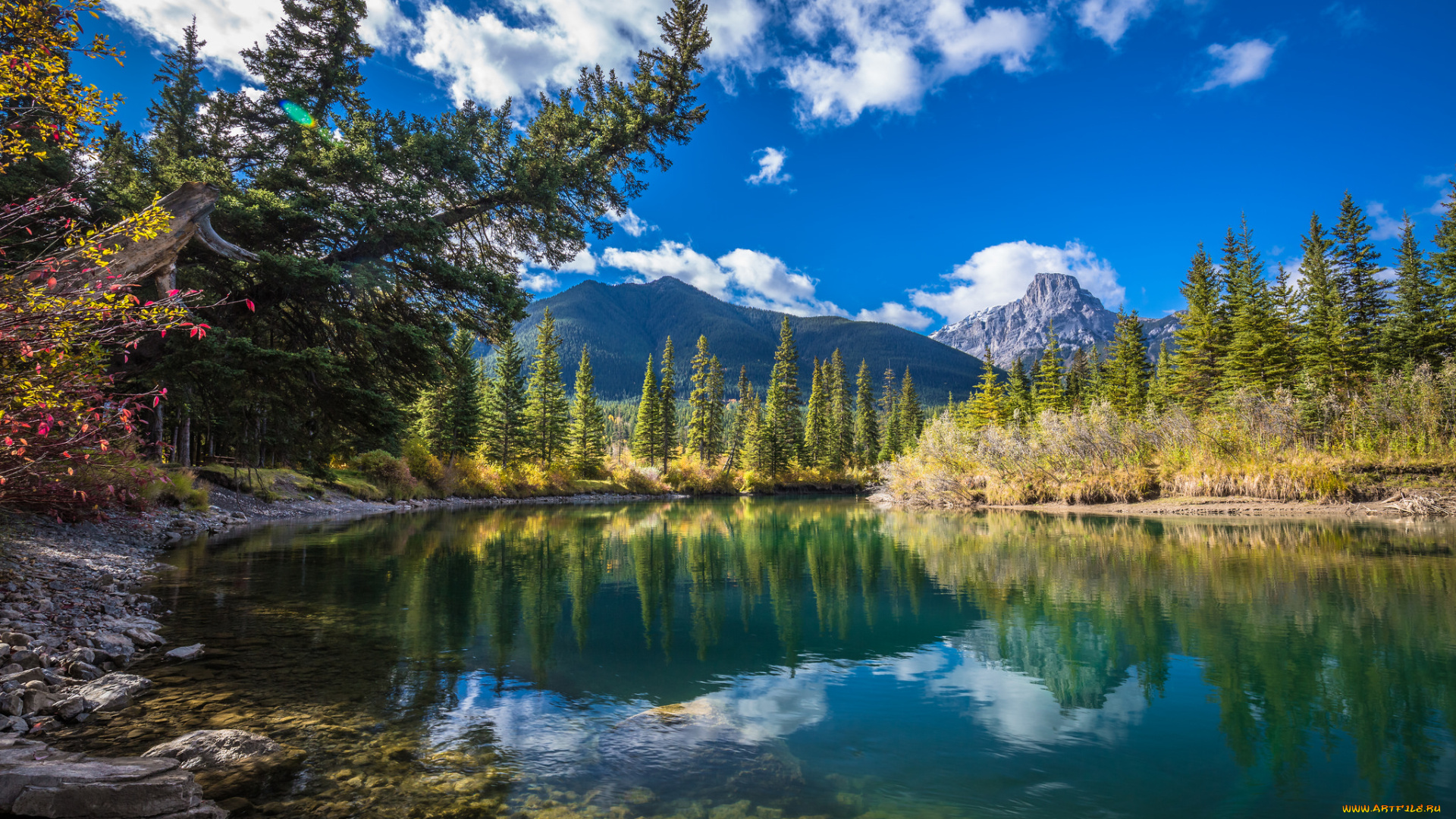 природа, реки, озера, простор