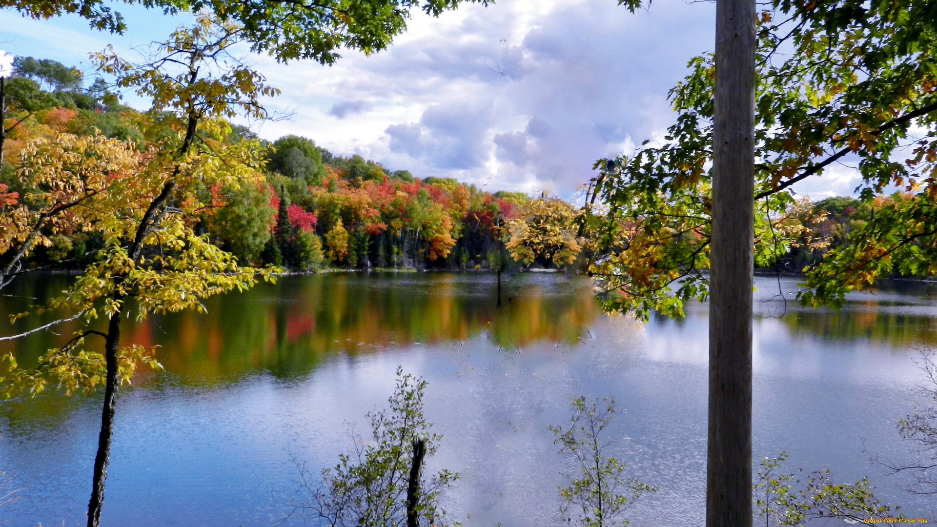 природа, реки, озера, река