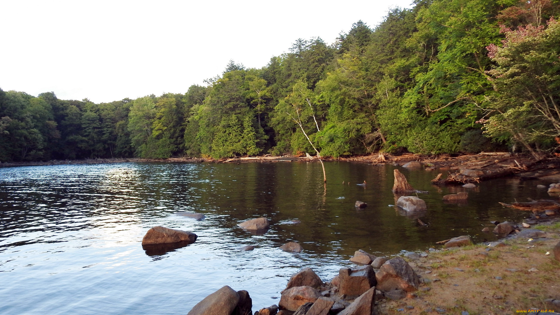 природа, реки, озера, река