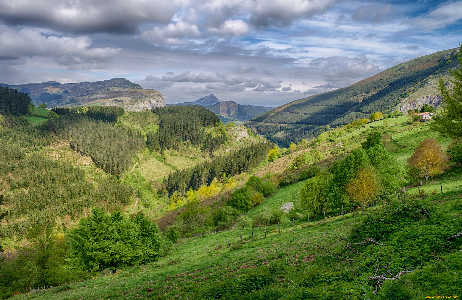 природа, пейзажи, простор