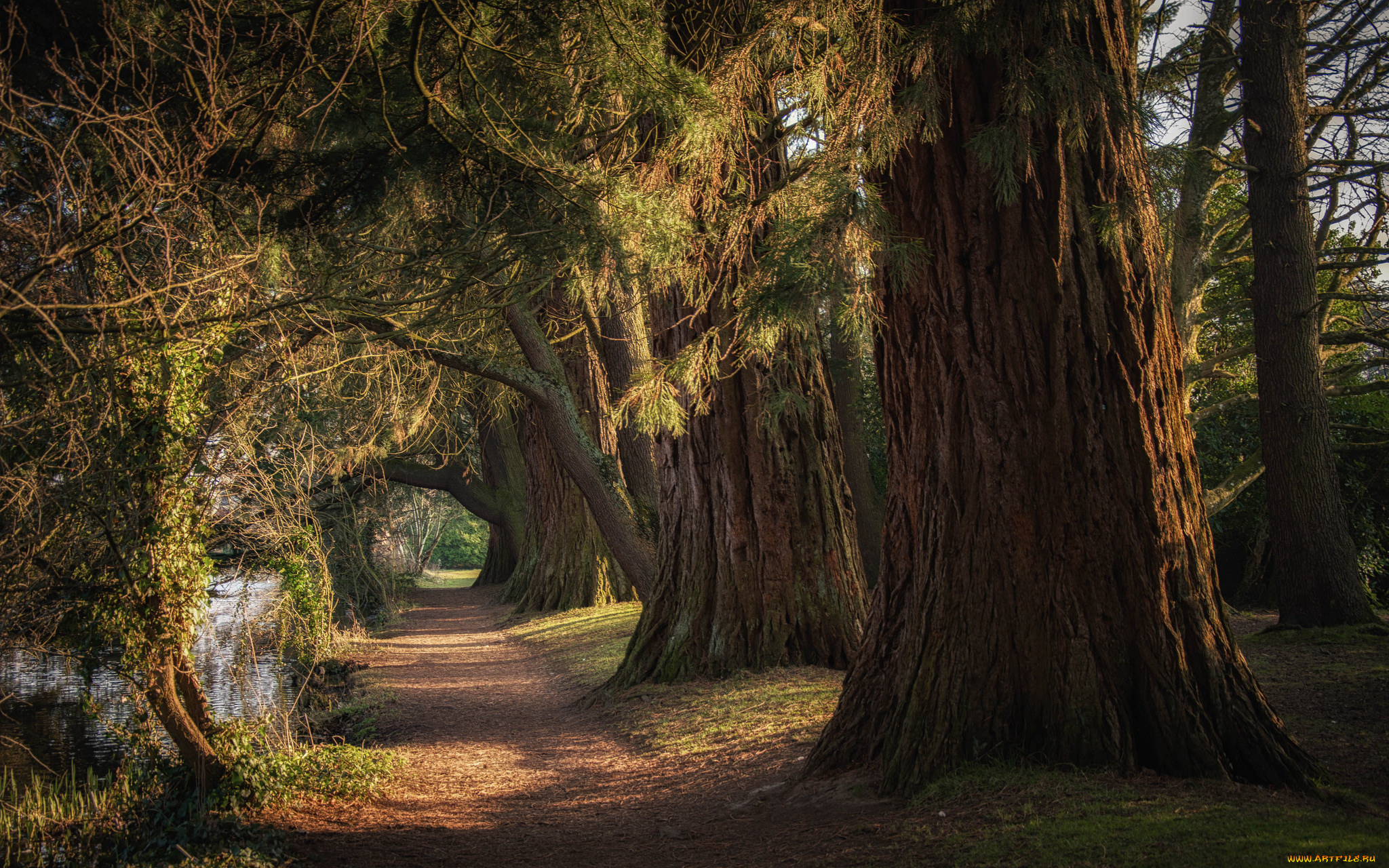 природа, дороги, простор