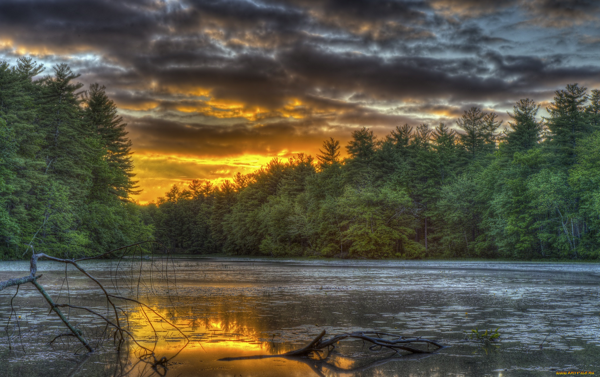 природа, реки, озера, простор