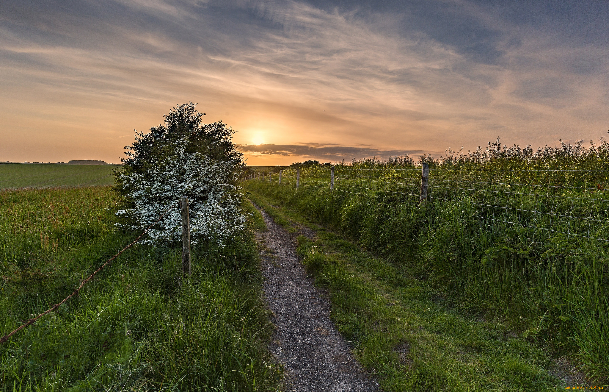природа, дороги, простор