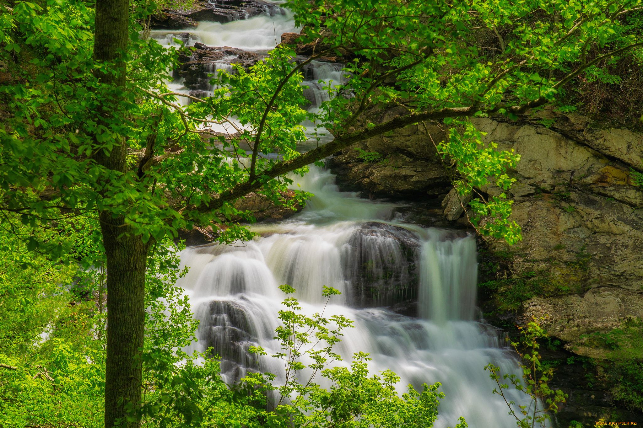 природа, реки, озера, простор