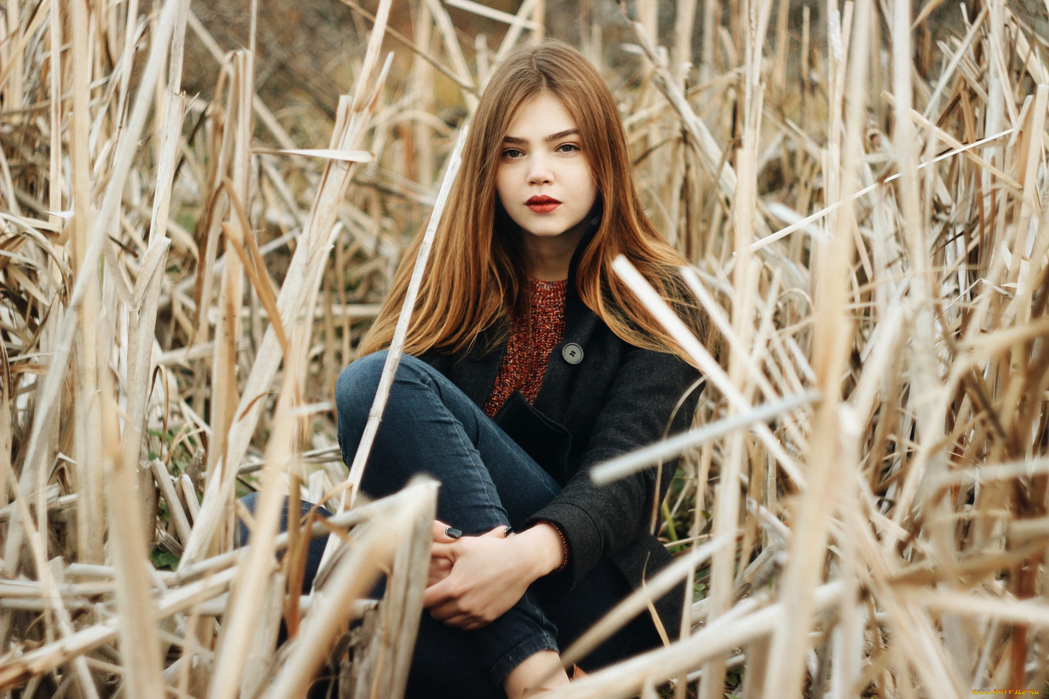 девушка, девушки, -unsort, , рыжеволосые, и, другие, модель