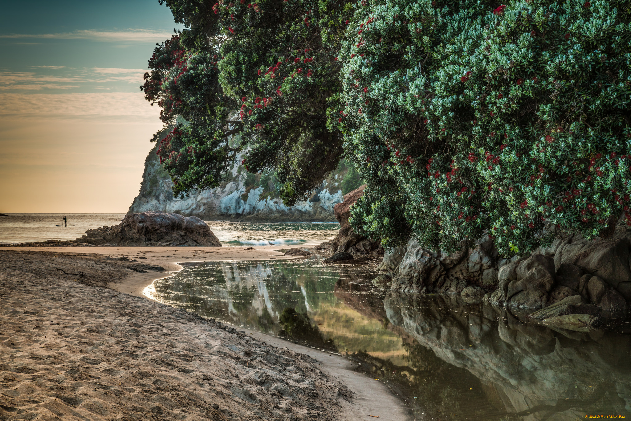 природа, побережье, простор