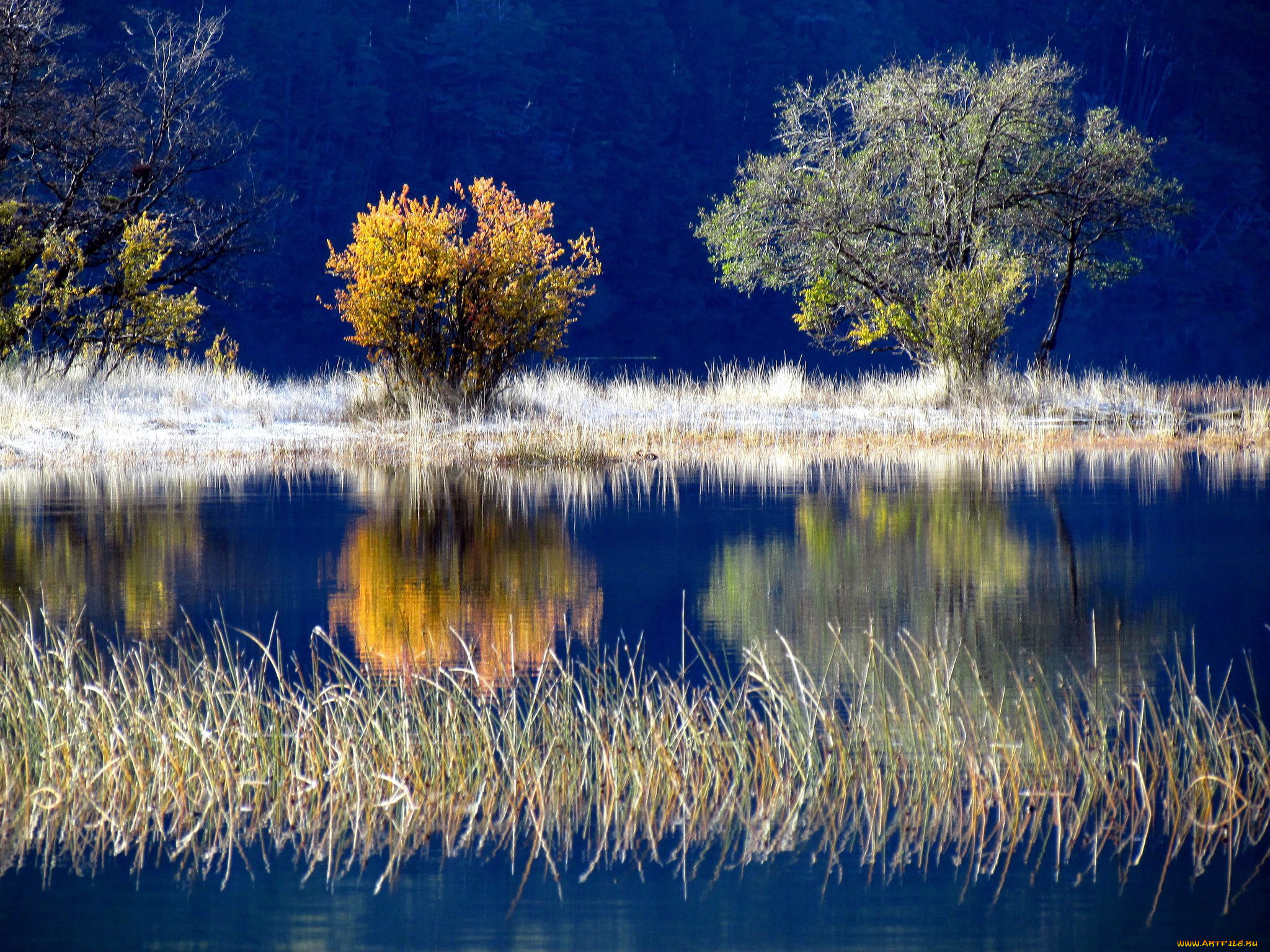 природа, реки, озера, отражение, река
