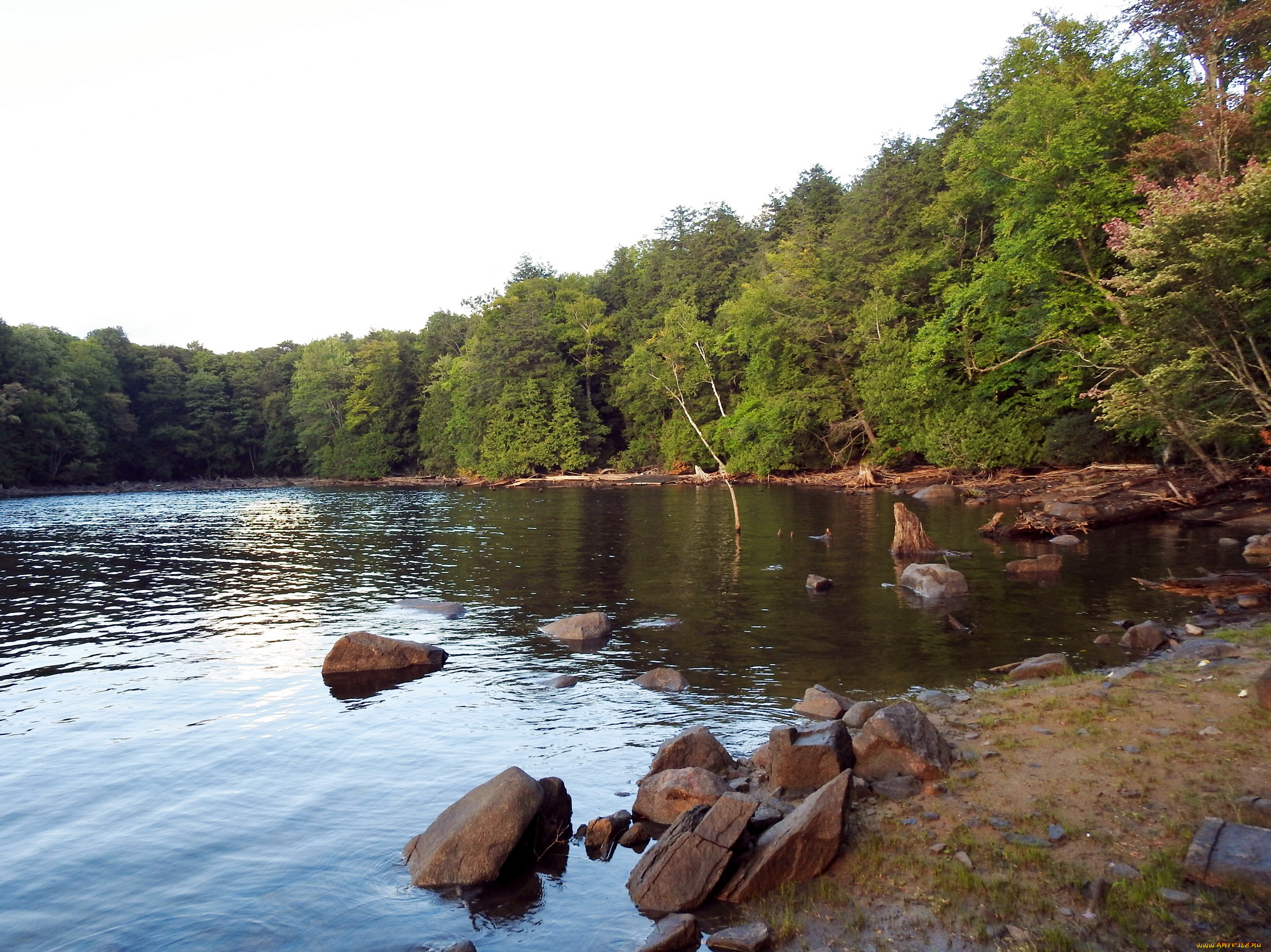 природа, реки, озера, река