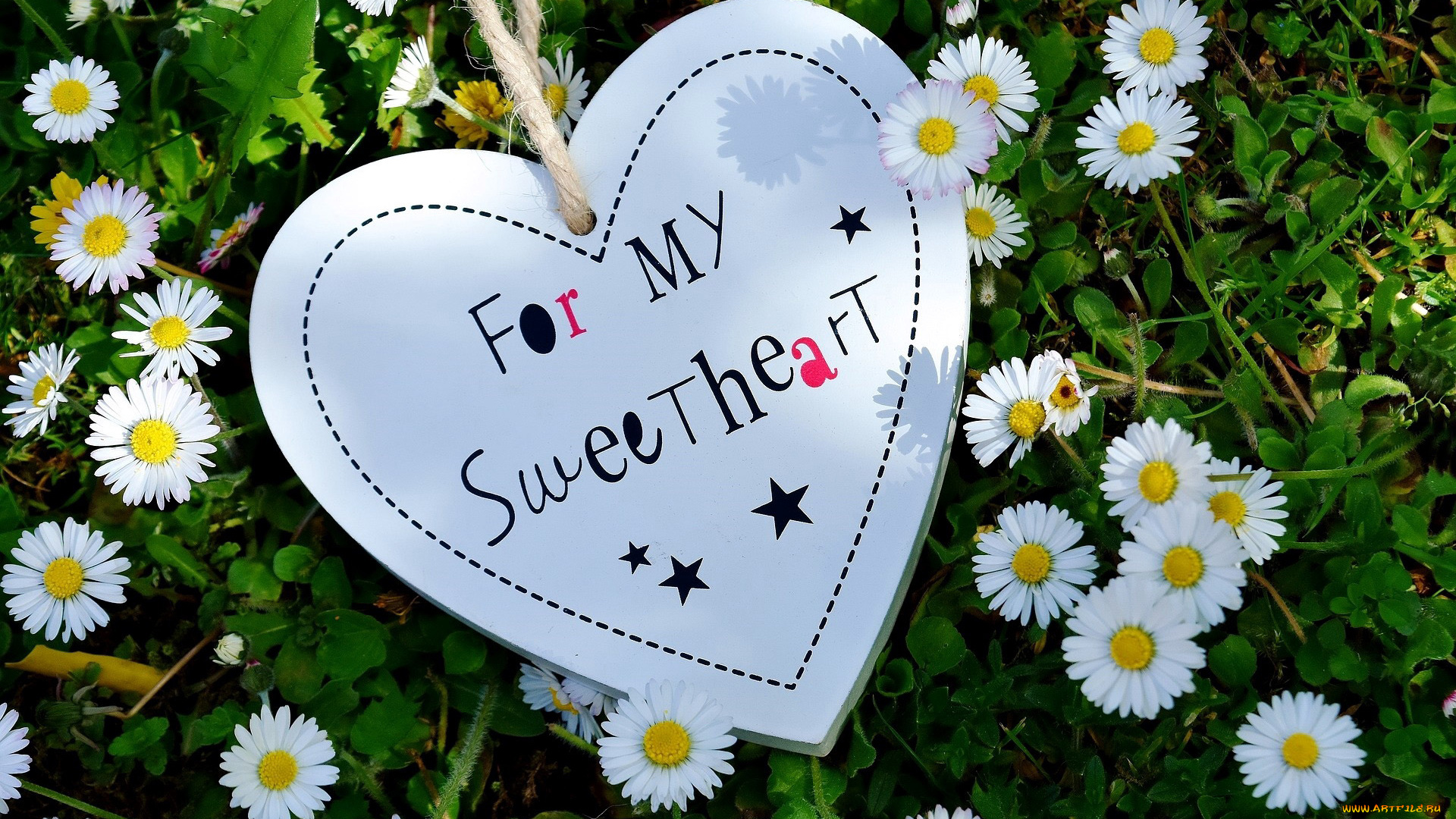 праздничные, день, святого, валентина, , сердечки, , любовь, надпись, маргаритки, сердце