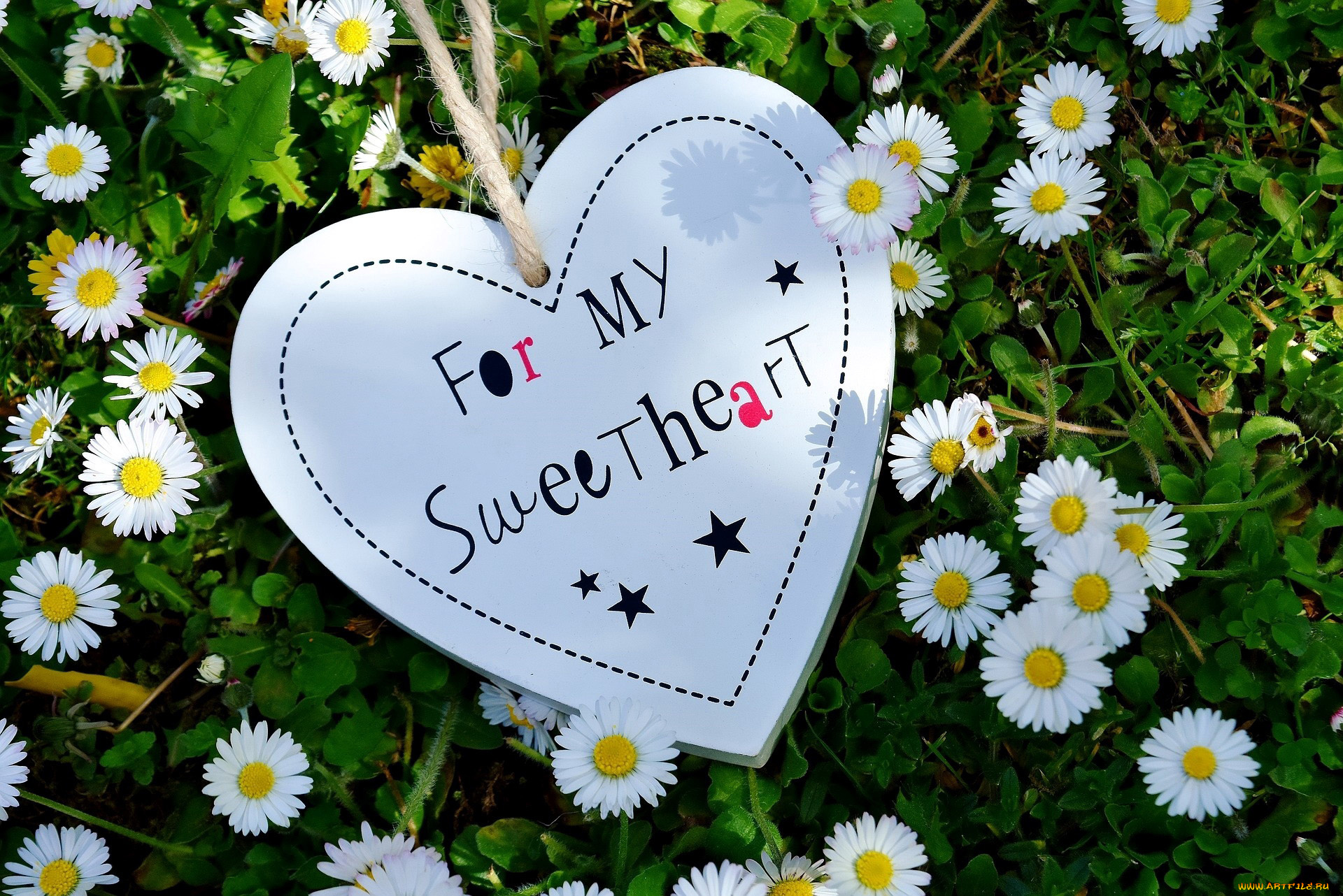 праздничные, день, святого, валентина, , сердечки, , любовь, надпись, маргаритки, сердце