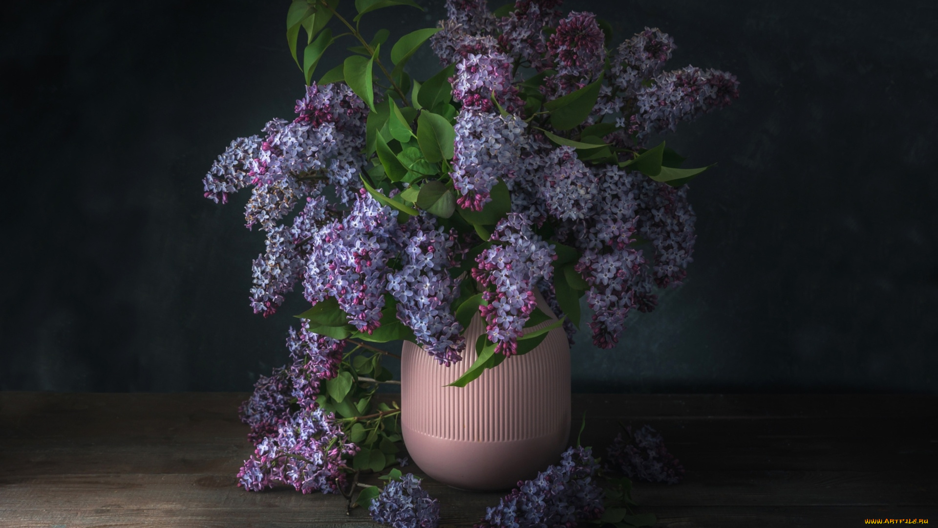 цветы, сирень, букет