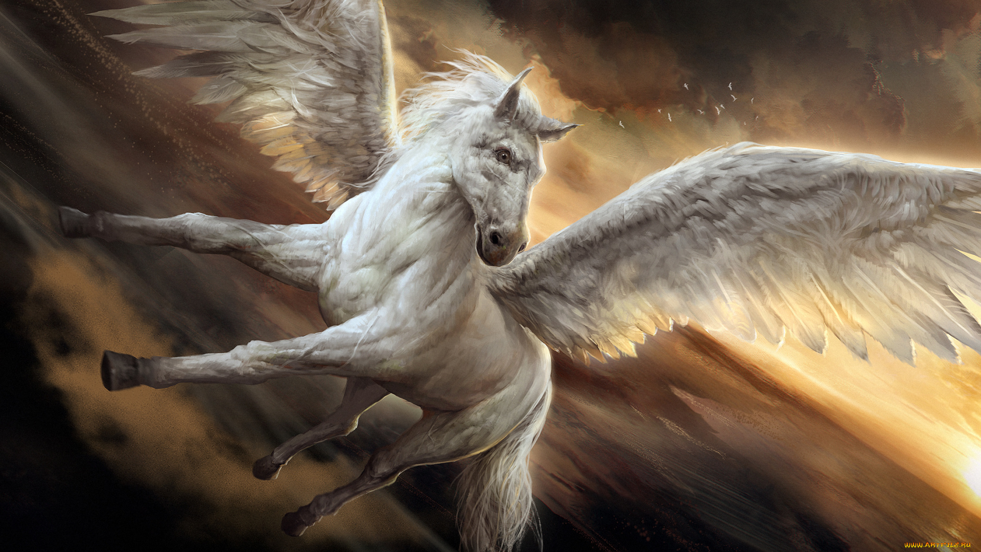 фэнтези, пегасы, конь, фон, крылья
