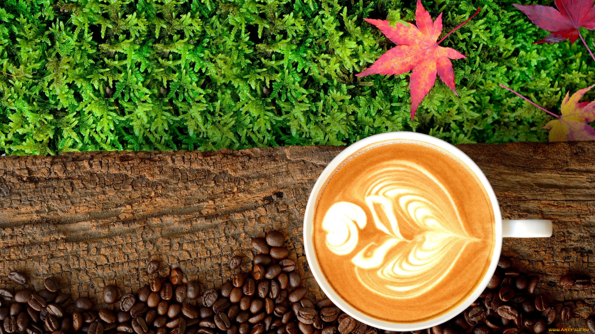 еда, кофе, , кофейные, зёрна