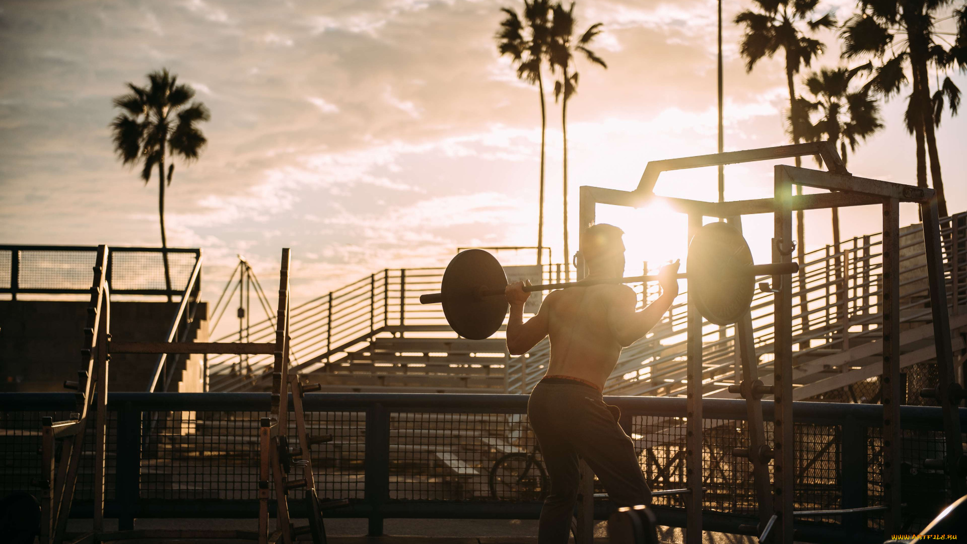 спорт, body, building, спортсмен, пляж, культурист, бодибилдинг, карибский, бассейн, оборудование, упражнения, фитнес, здоровье